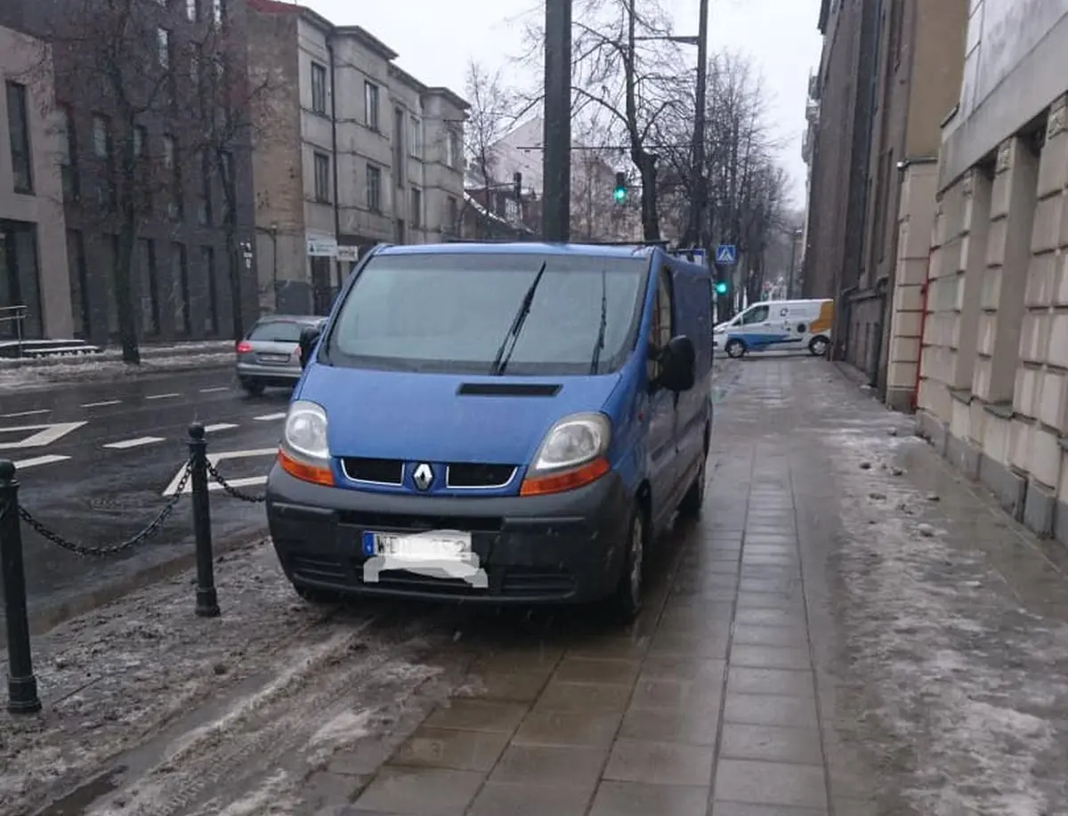 Automobilio statymas E. Ožeškienės gatvėje