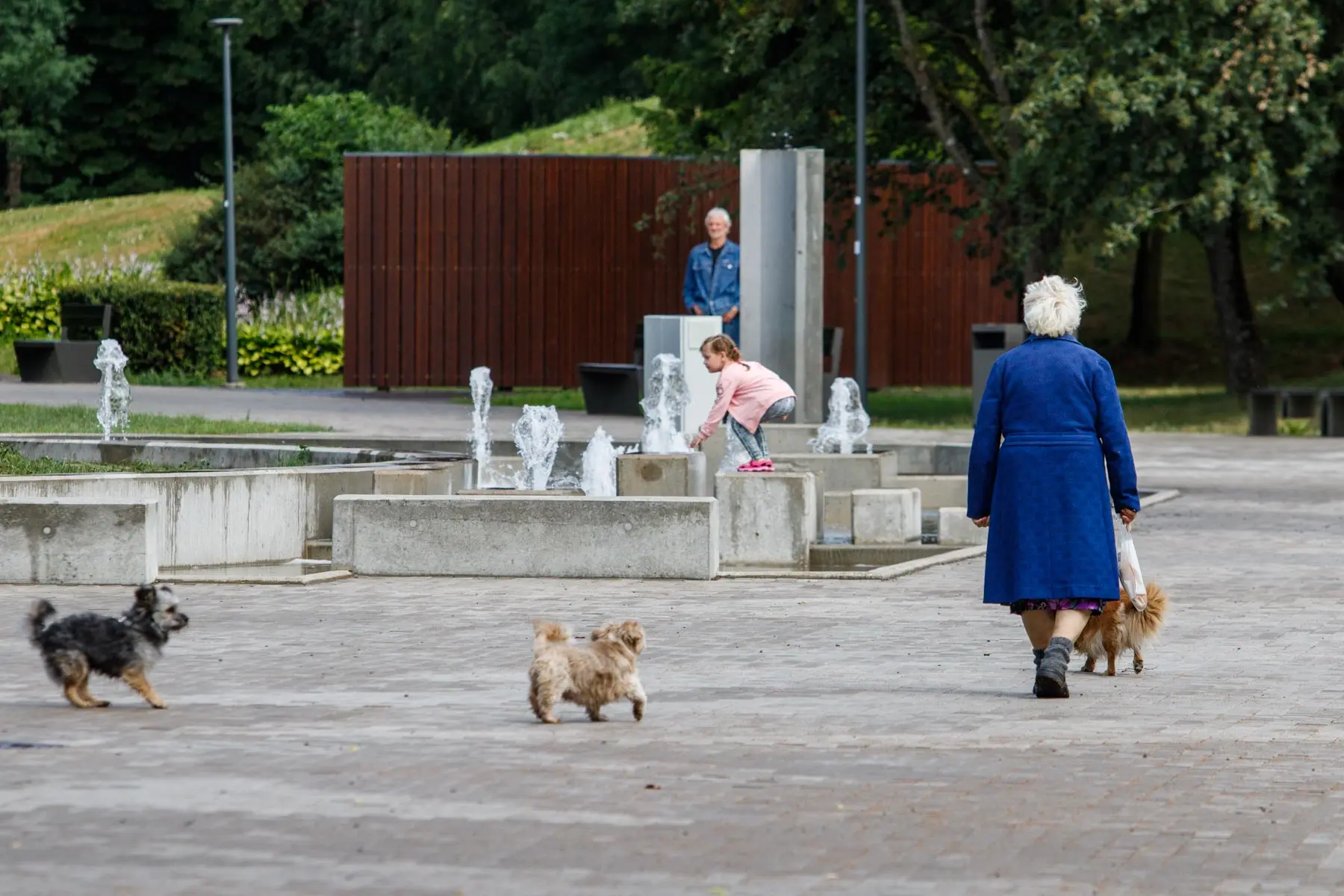 Atnaujintas Draugystės parko fontanas