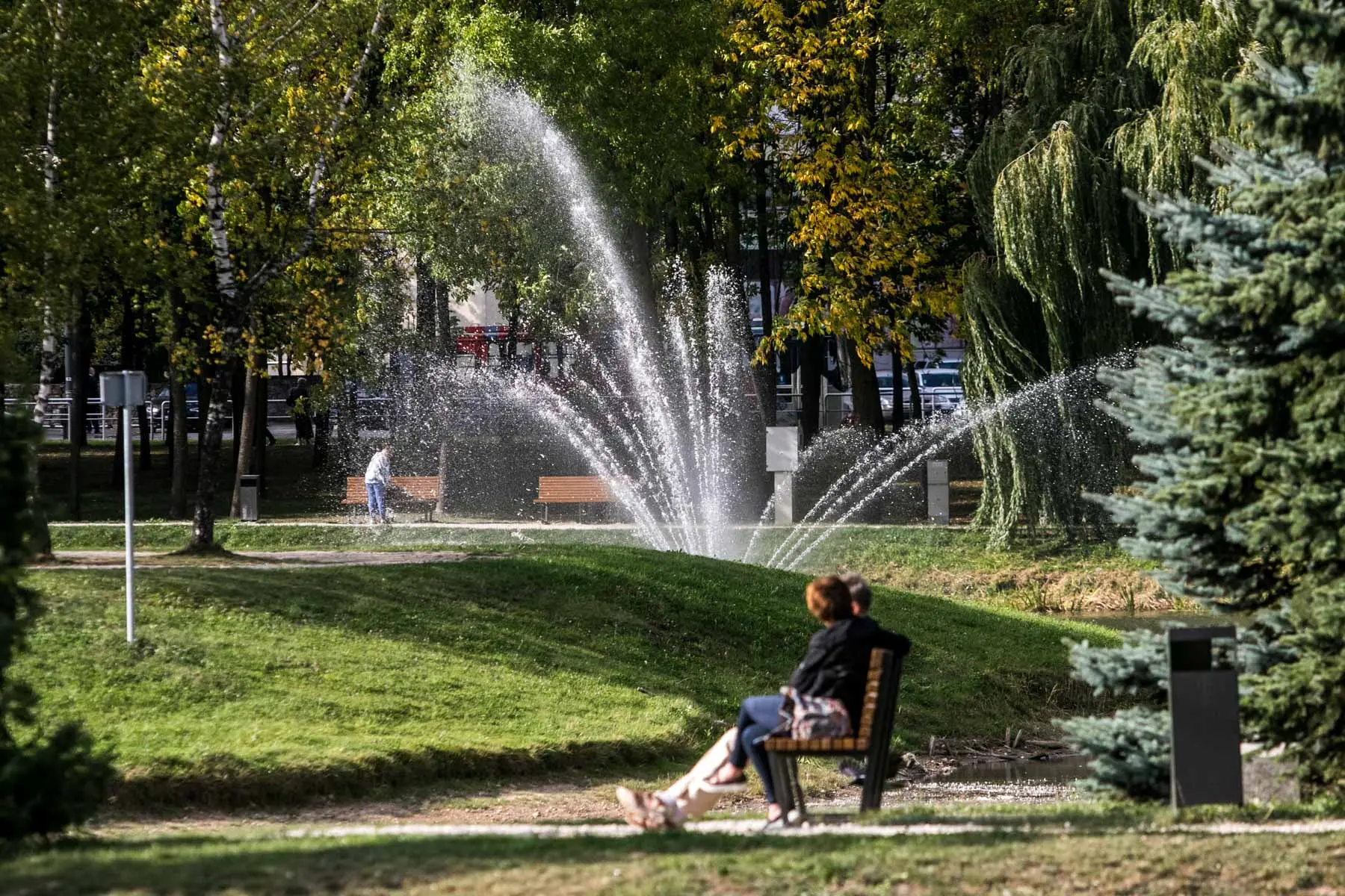 Kalniečių parkas