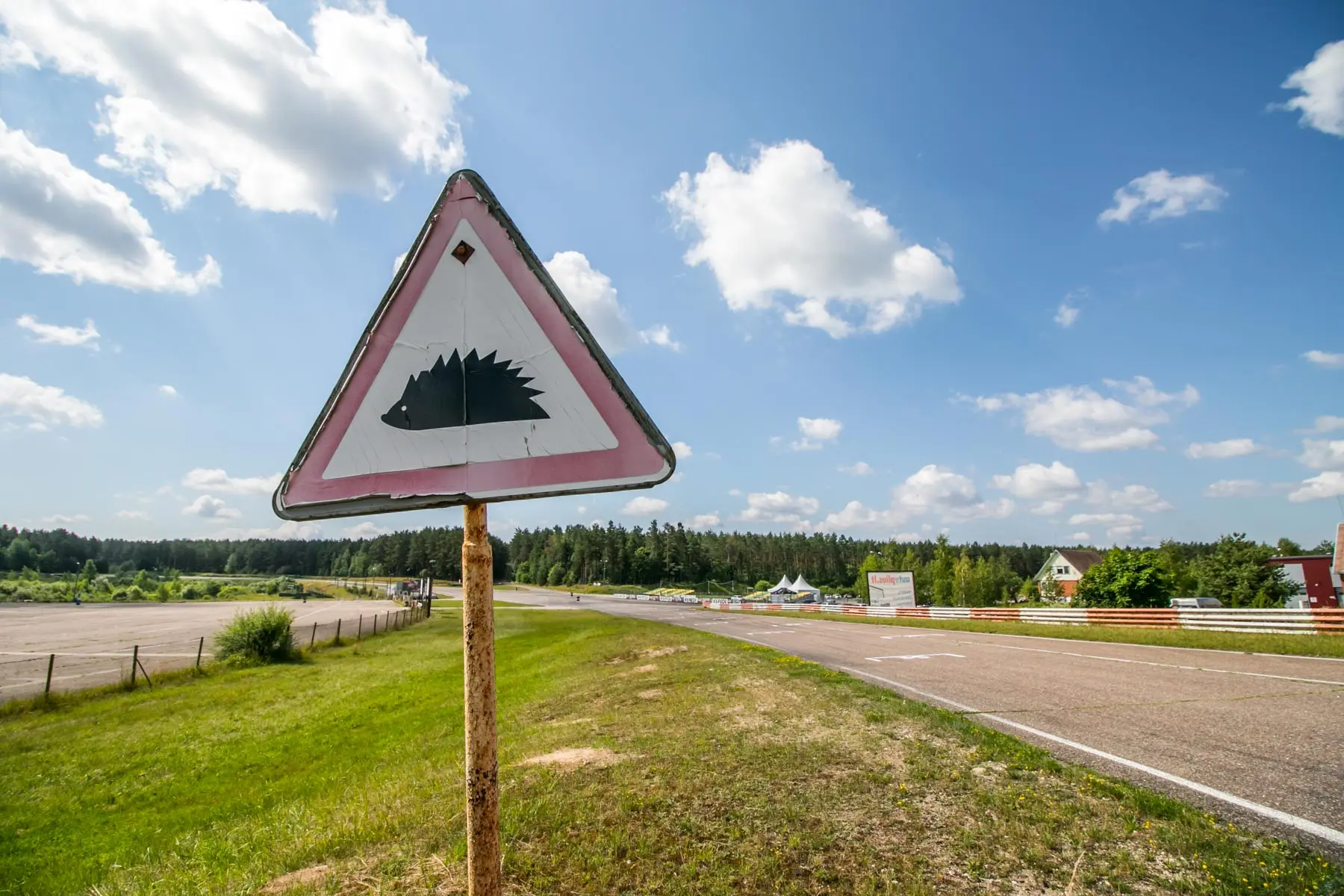 Nemuno žiedas