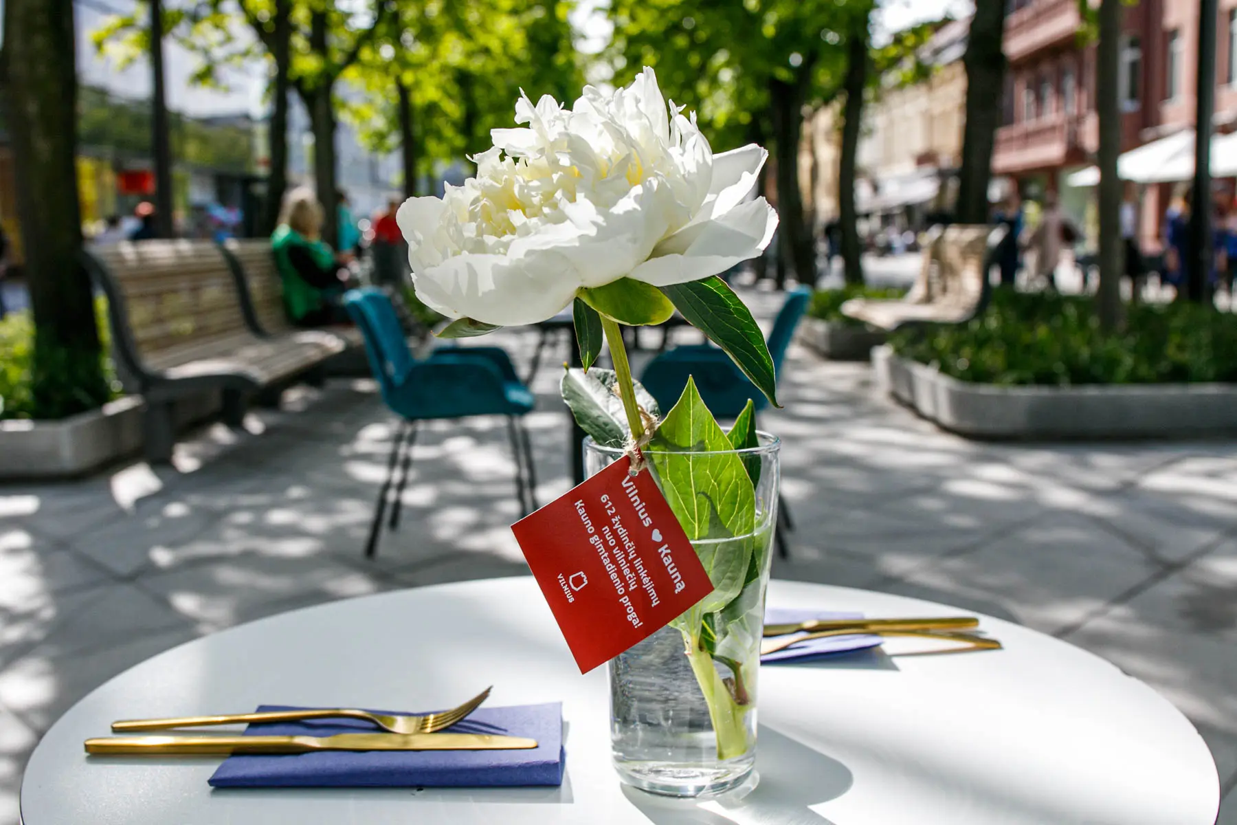 Vilniaus dovana Kaunui