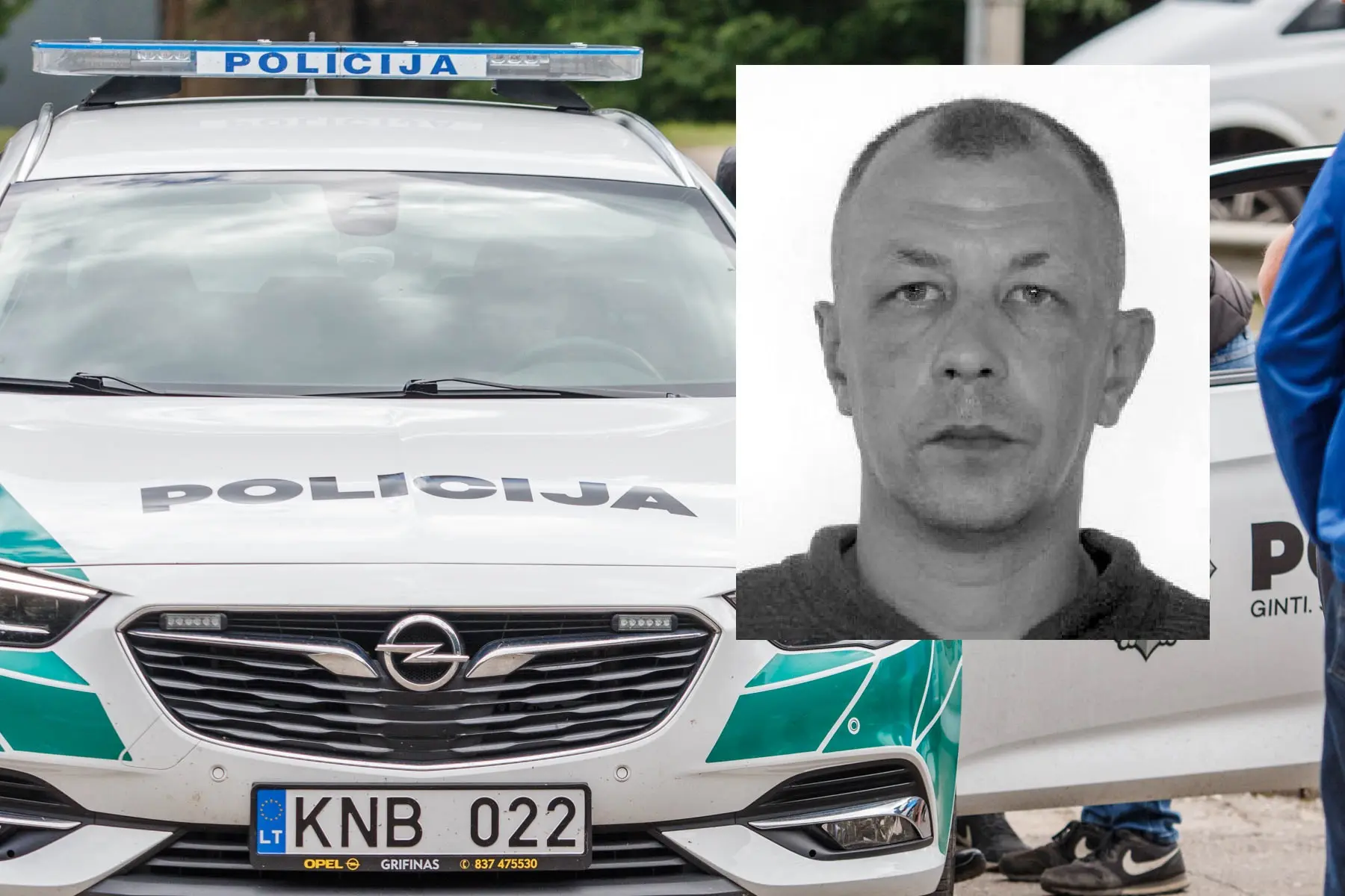 Dingo žmogus