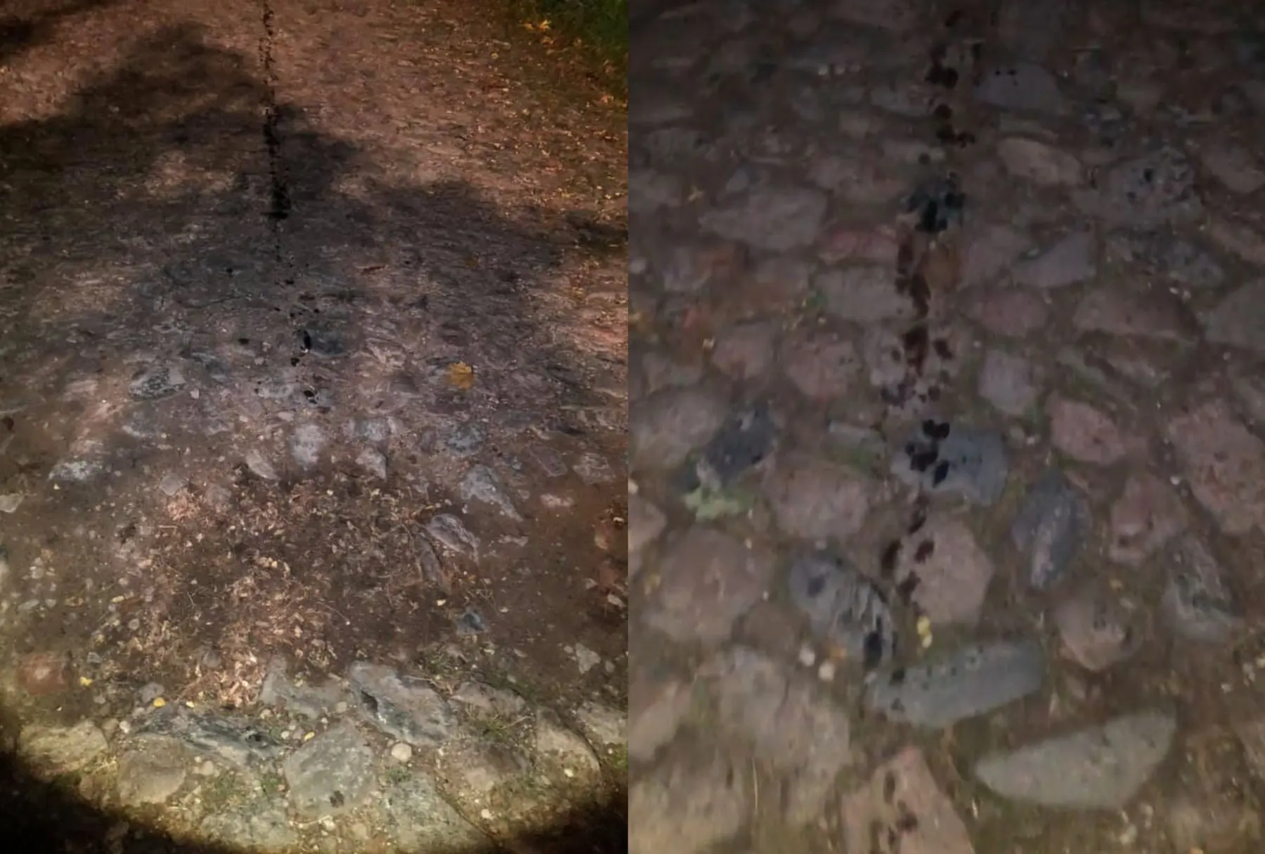 Kapsų gatvėje išbėgę tepalai