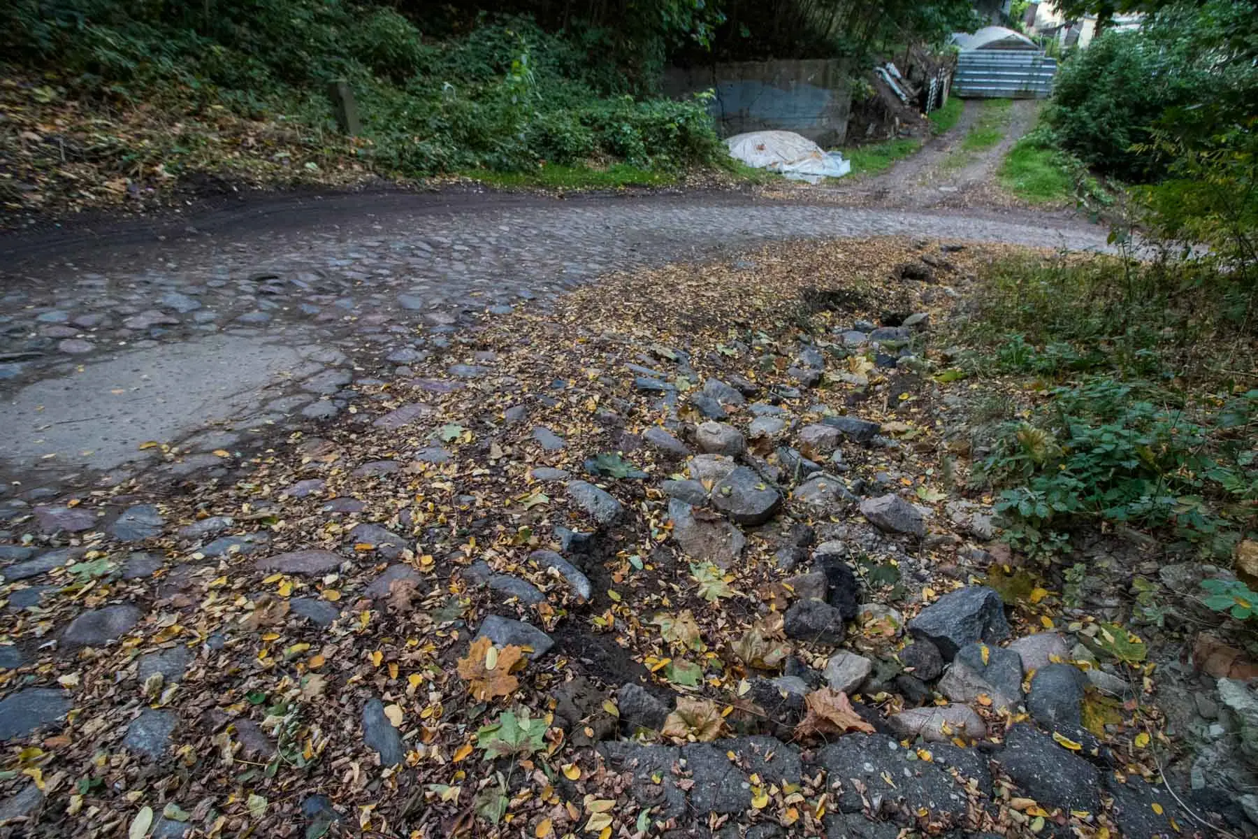Kapsų gatvė