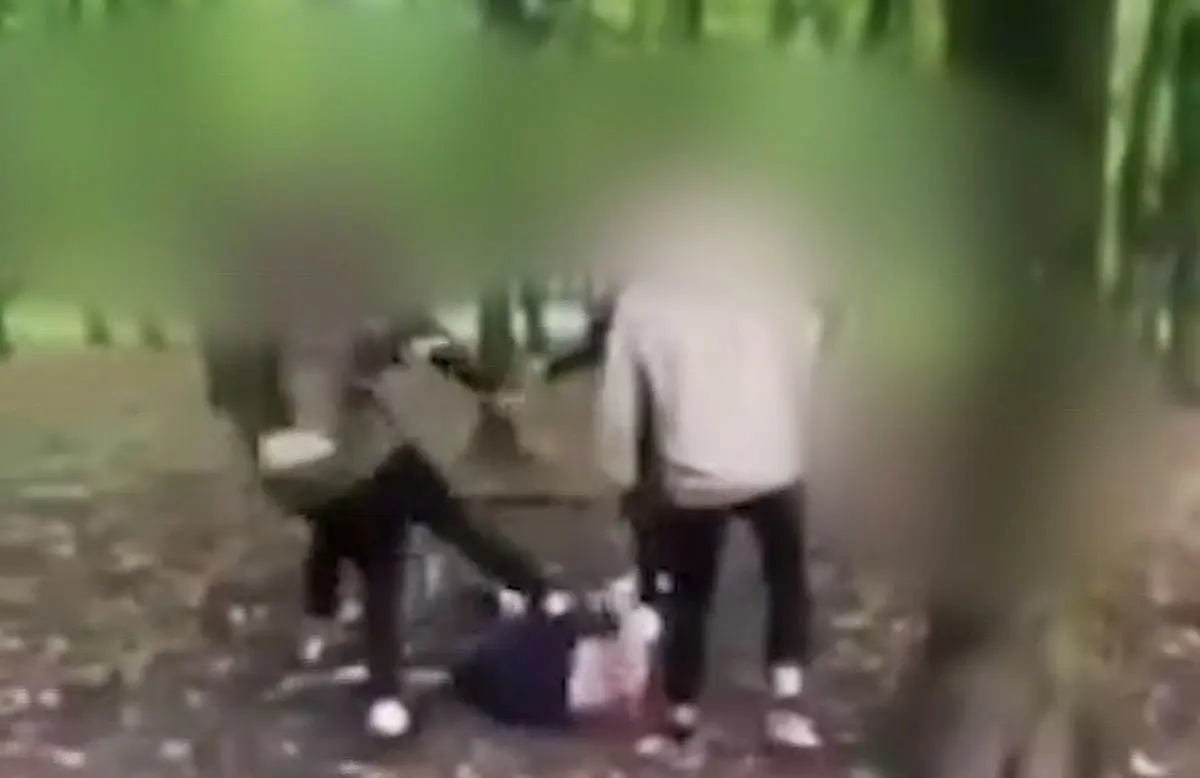 Draugystės parke sumuštas paauglys