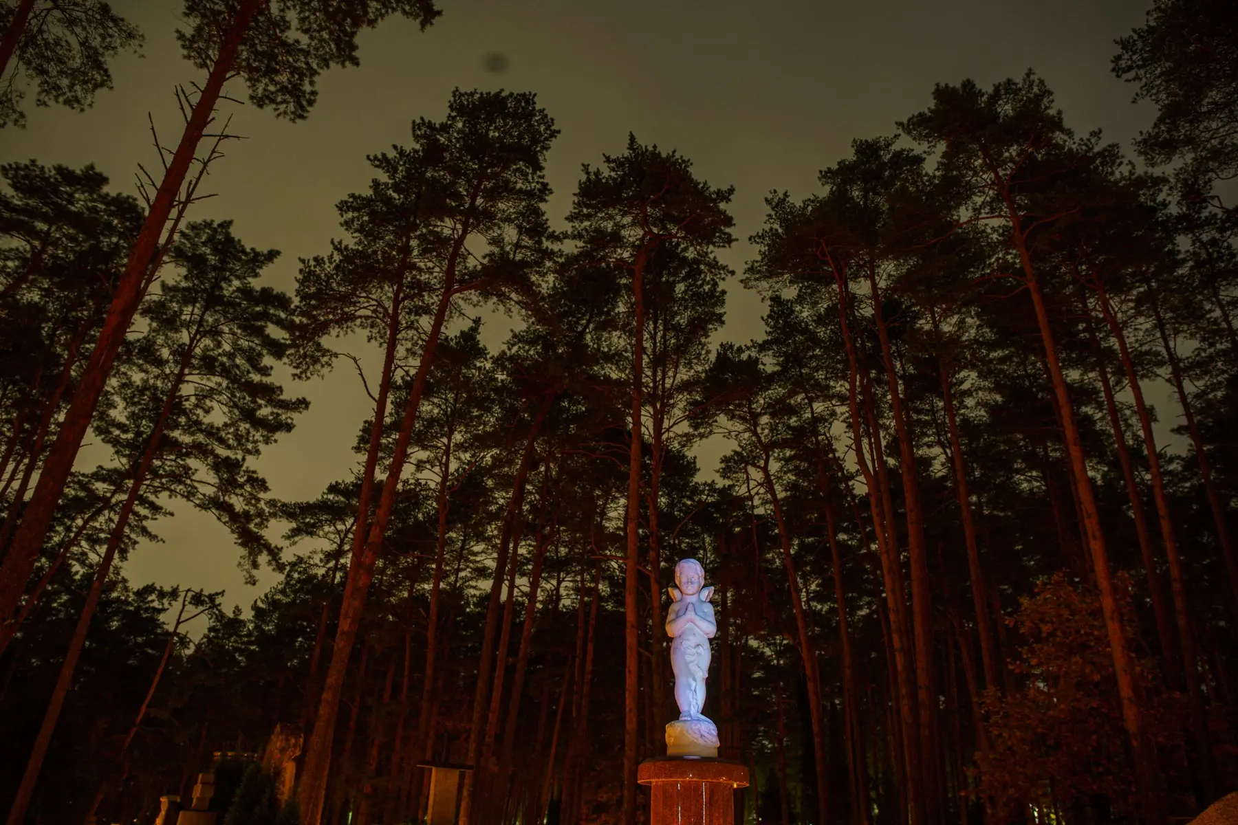 Kauno kapinės lapkričio 1-ąja