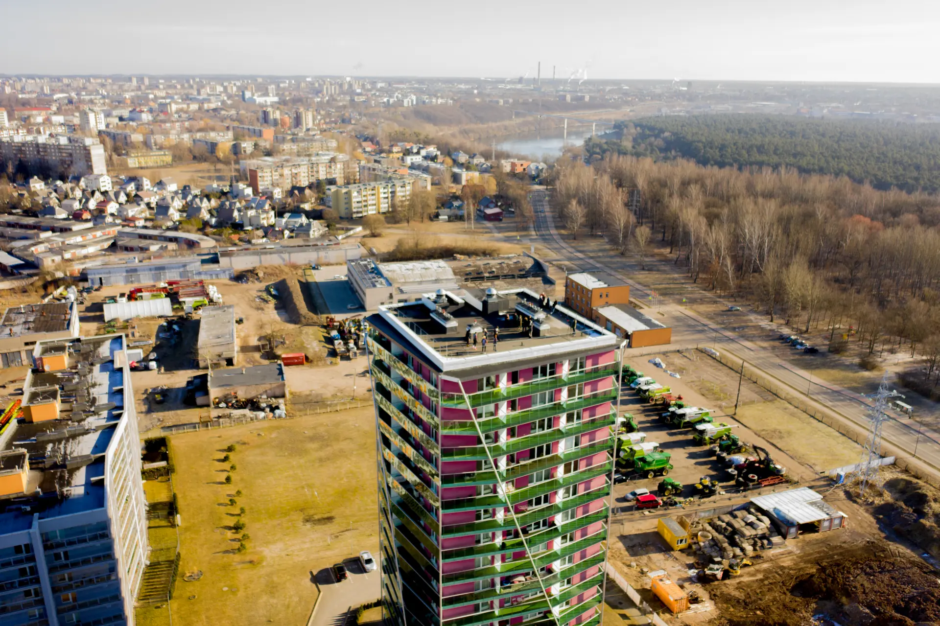 Manskta ant stogo (3 of 8)