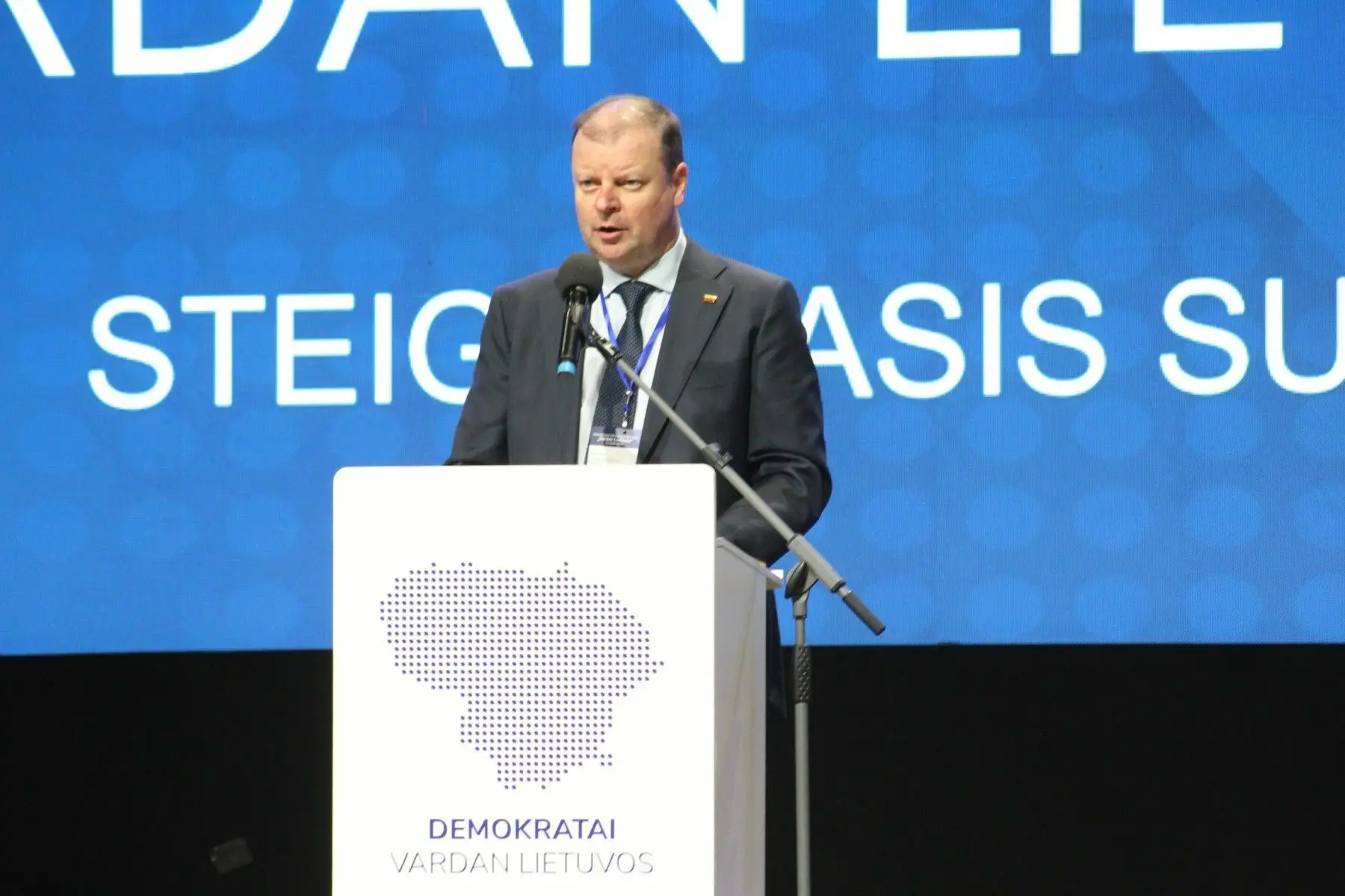 Demokratų sąjungos „Vardan Lietuvos“ suvažiavimas, Saulius Skvernelis