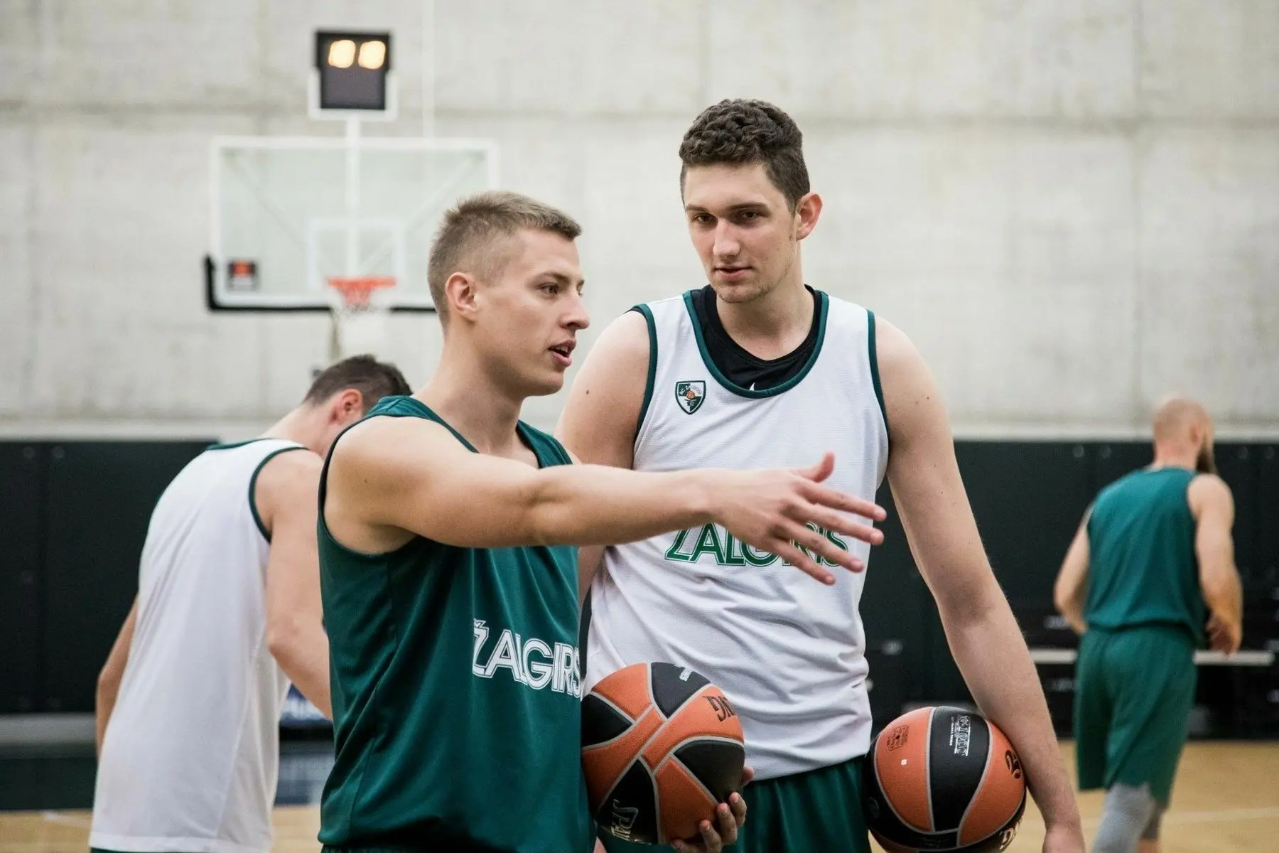 Donatas Sabeckas, Laurynas Birutis
