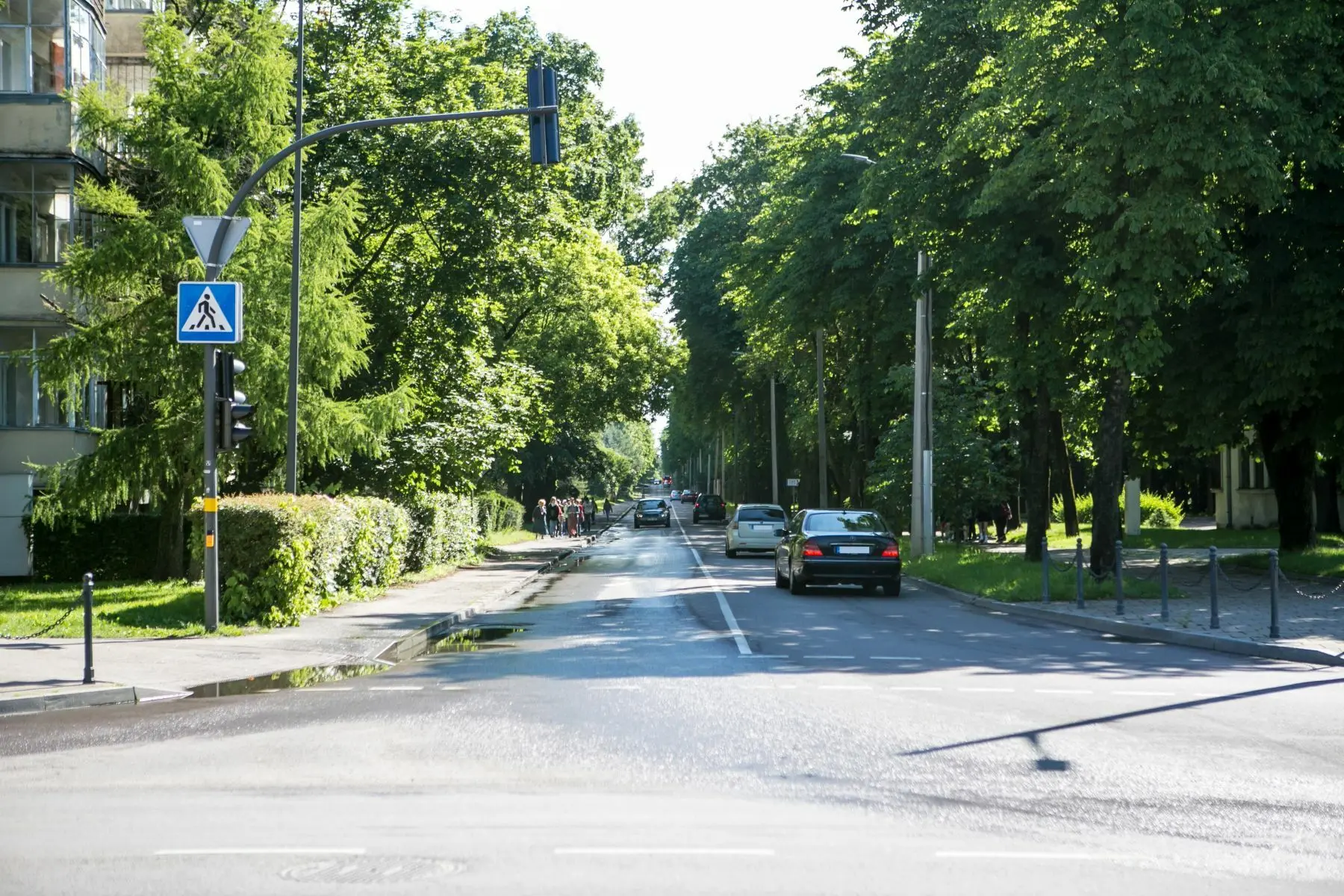 Vydūno alėja