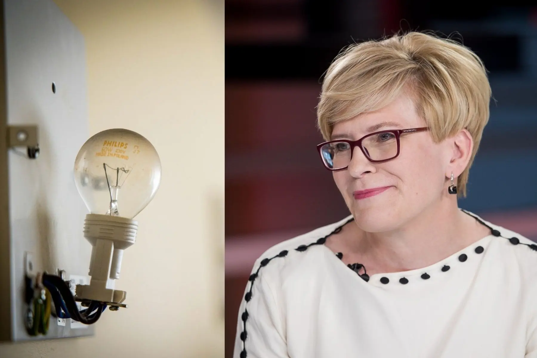 Ingrida Šimonytė, elektra, elektros lemputė