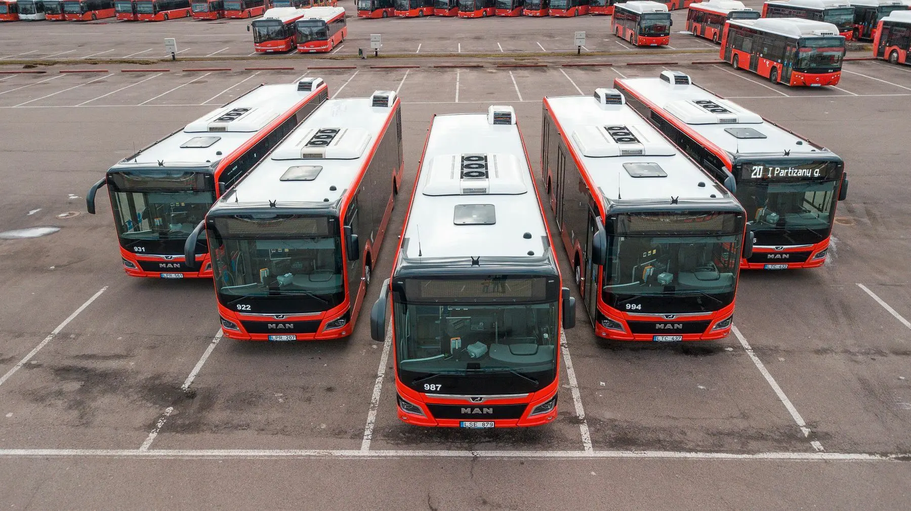Kauno autobusai