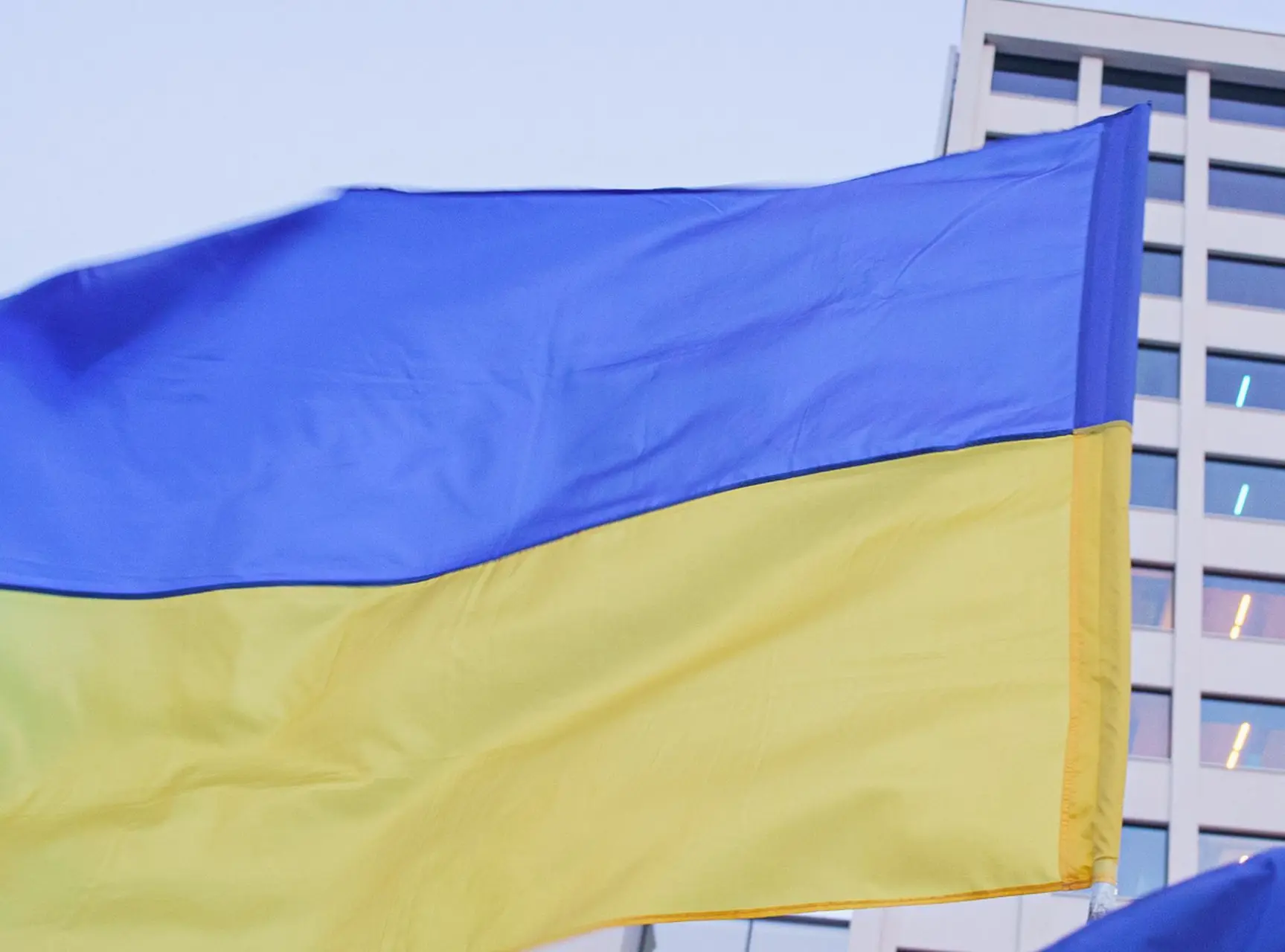 Ukrainos vėliava