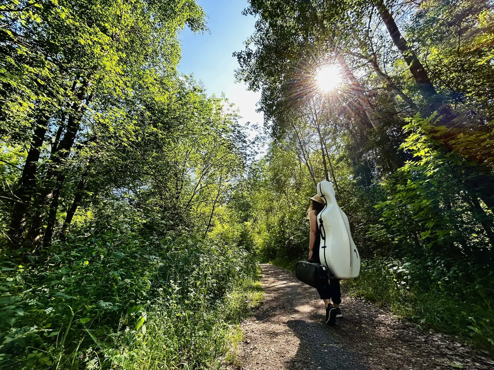 camino
