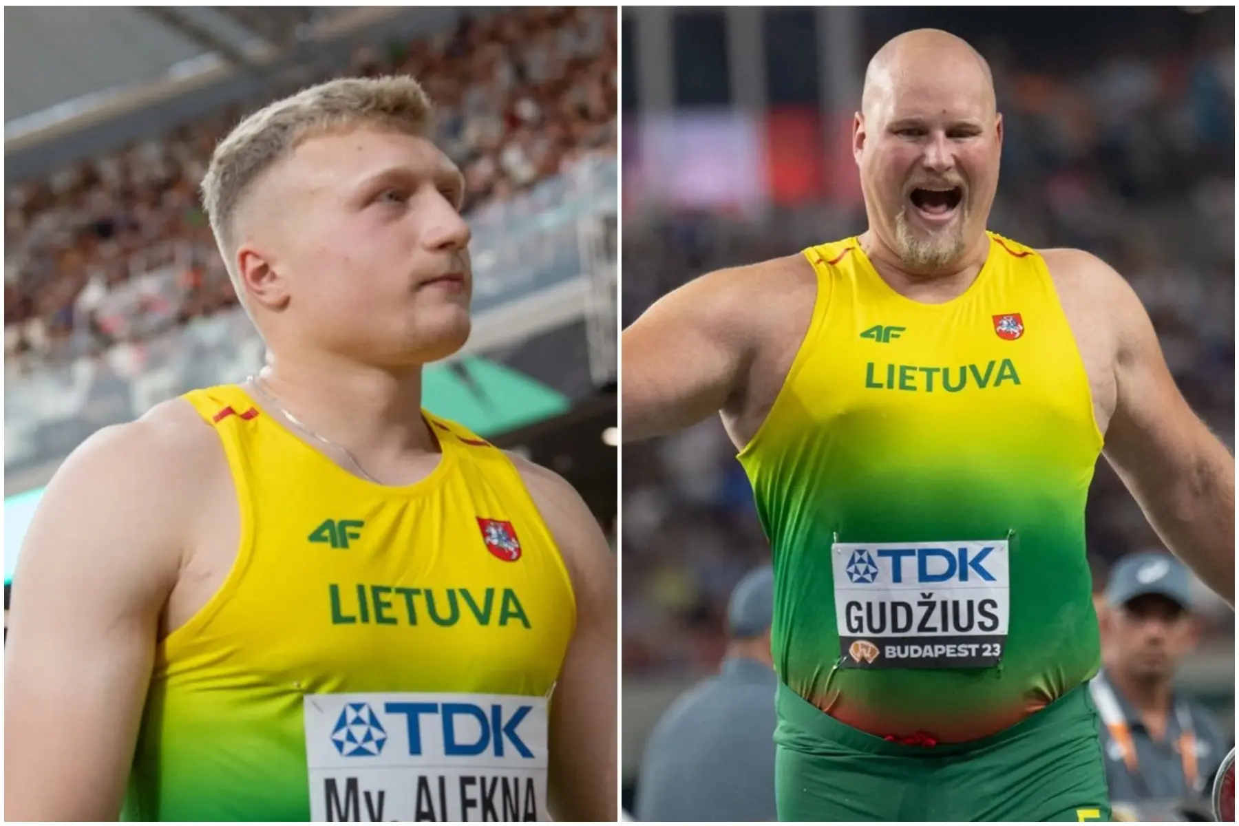 Mykolas Alekna, Andrius Gudžius