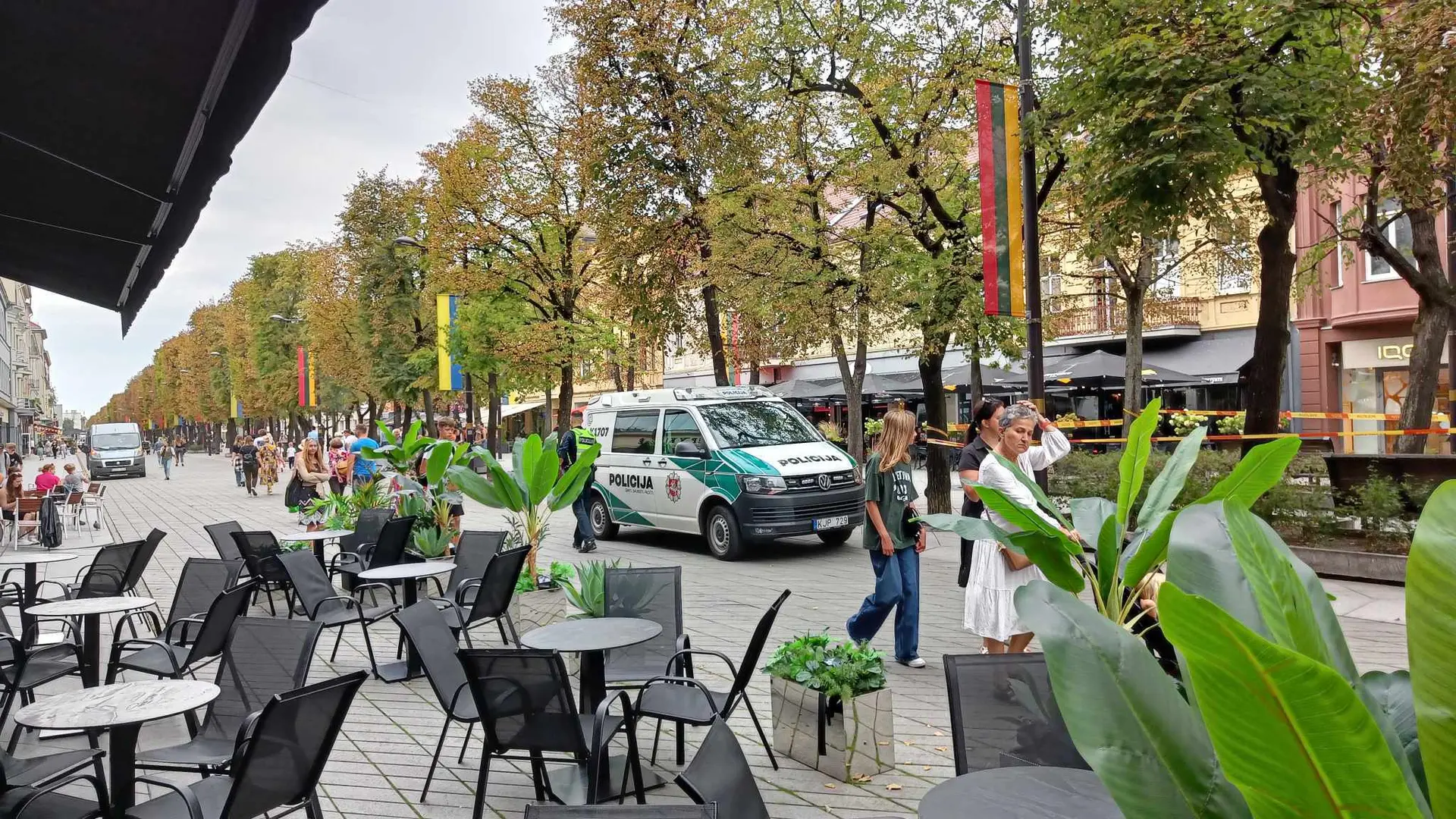 Muštynės Laisvės alėjoje