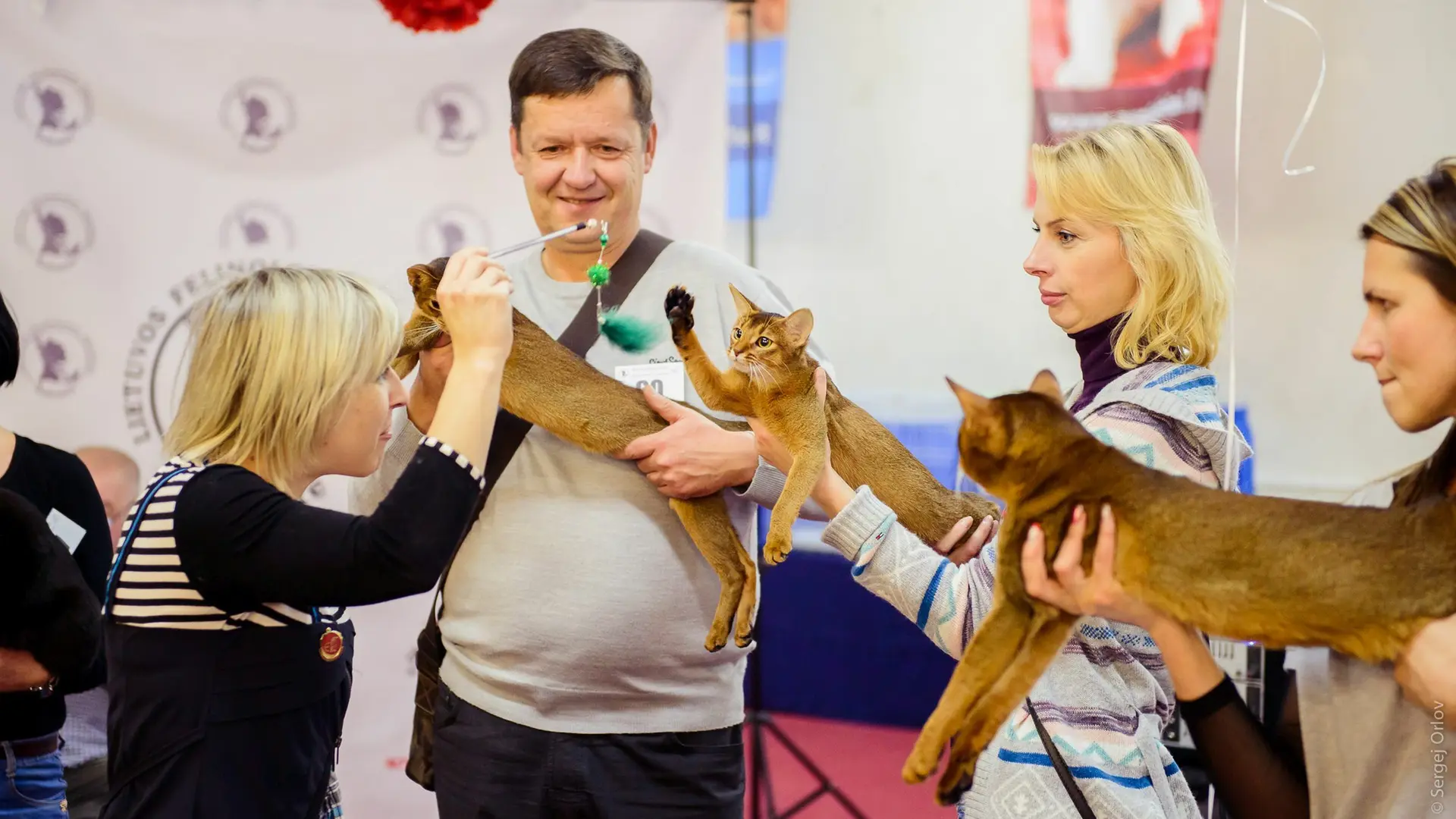 Kačių paroda Raudondvaryje