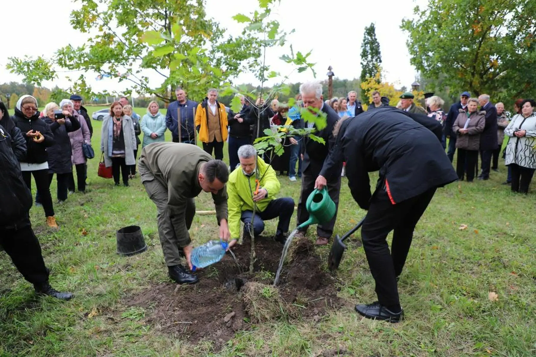 Žalgirio pergalės parke pasodinti ąžuolai primins Ukrainos kovą už laisvę