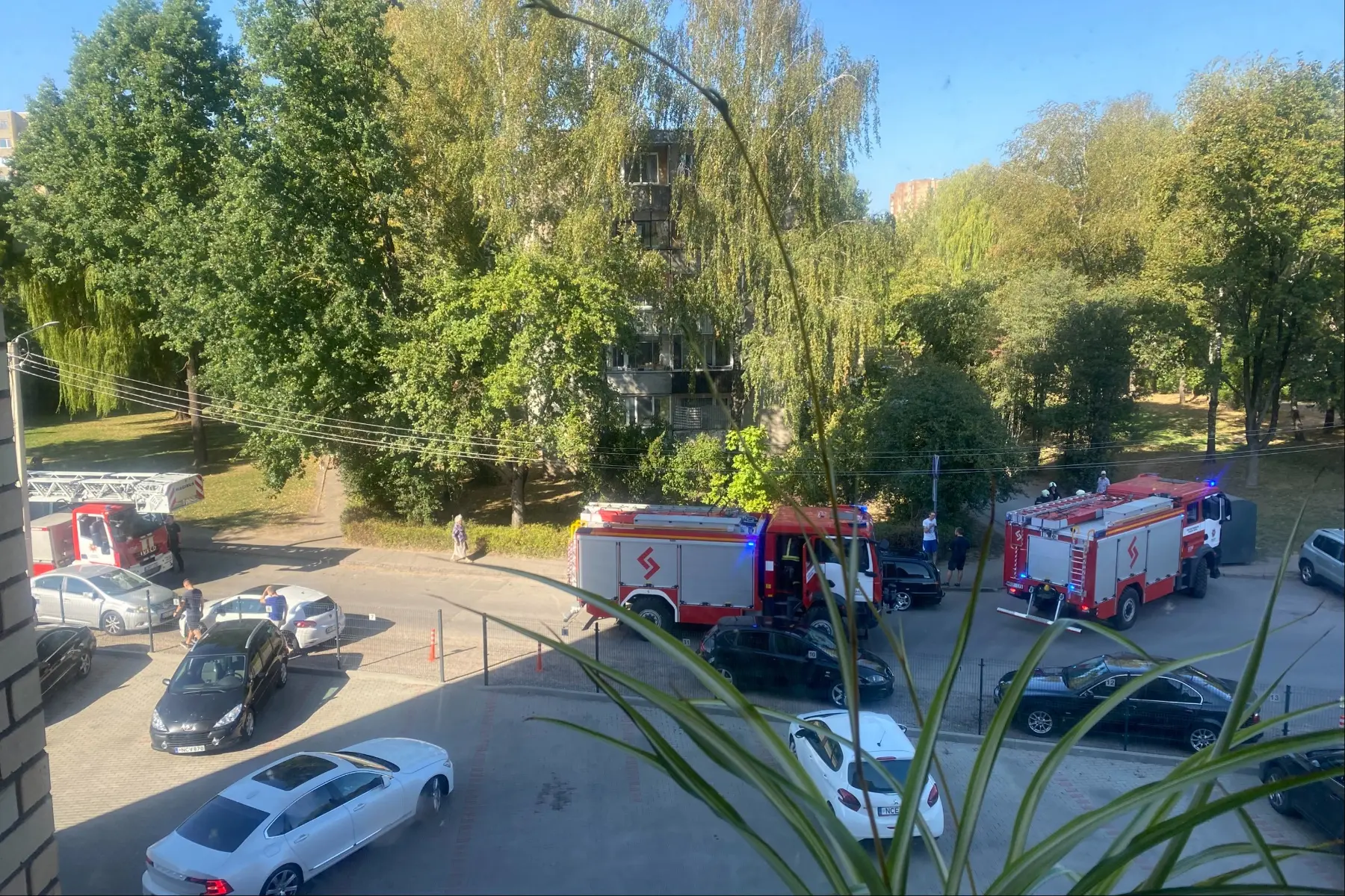 Ugniagesiai Kovo 11-osios gatvėje / Skaitytojų nuotr.