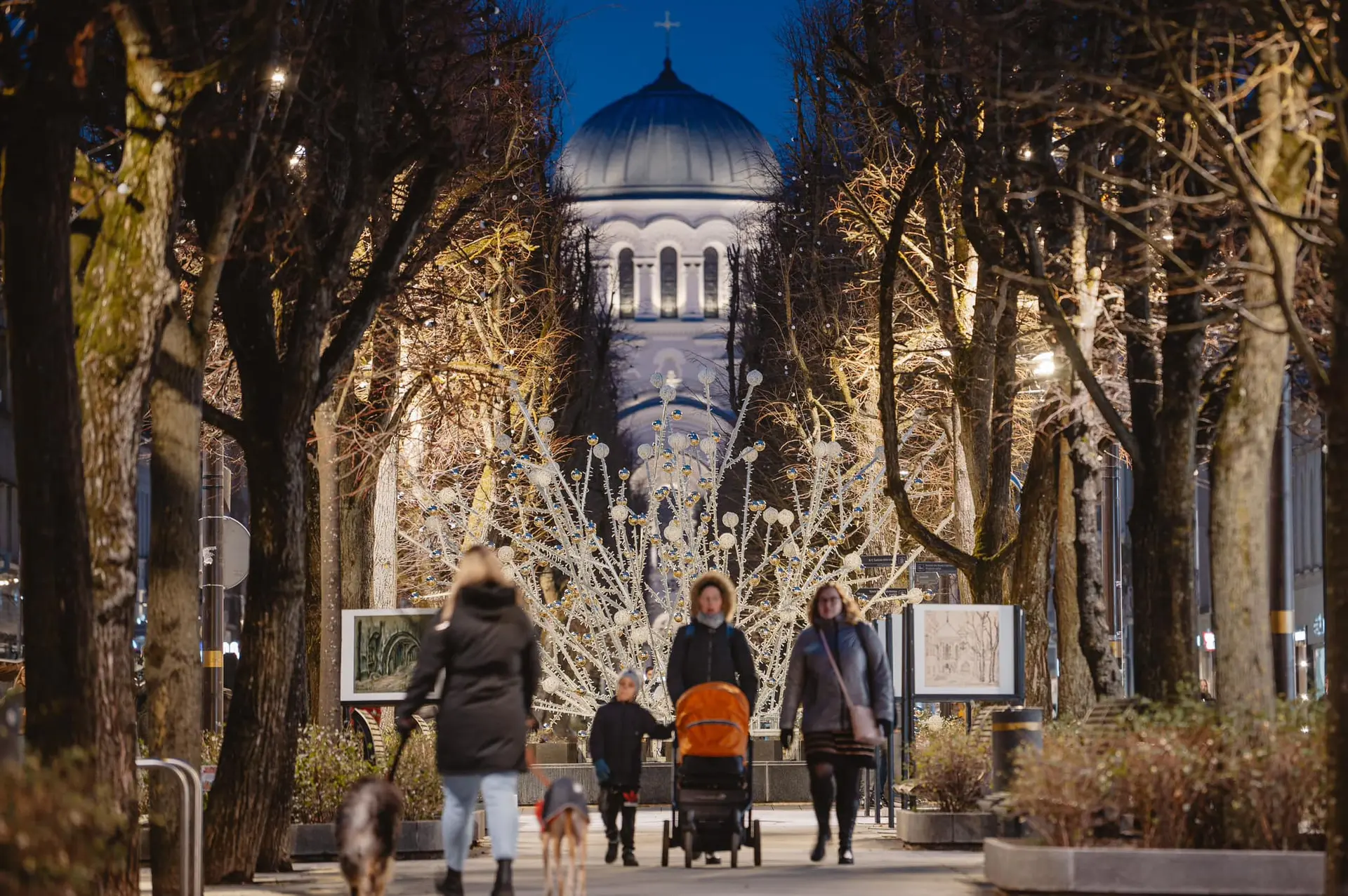 Kalėdiniai papuošimai Laisvės al. fontane / kaunas.lt nuotr.