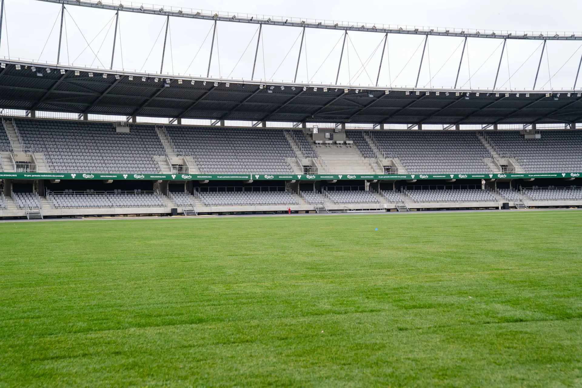 Dariaus ir Girėno stadione baigti vejos keitimo darbai / Dariaus ir Girėno stadiono nuotr.