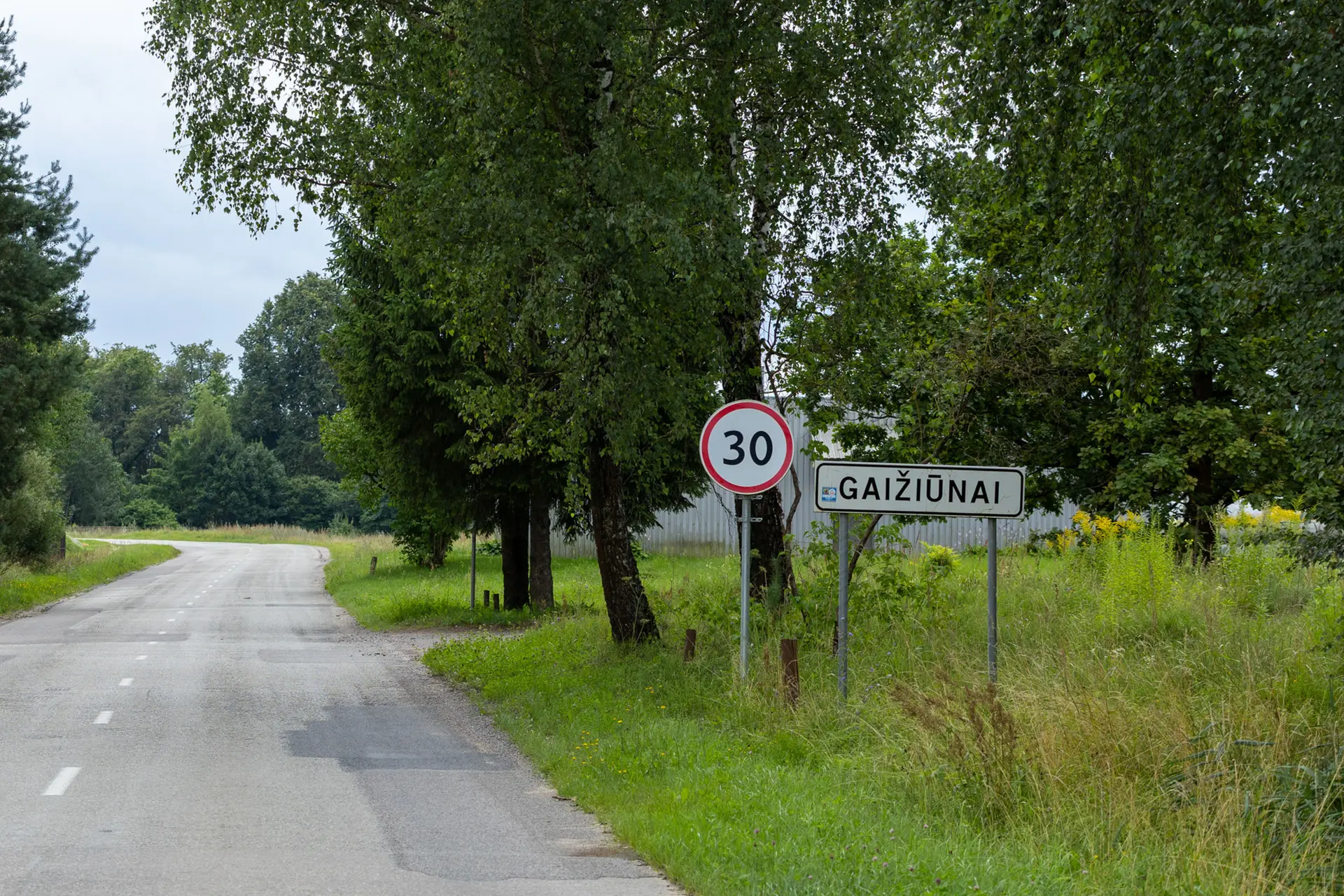 Gaižiūnai
