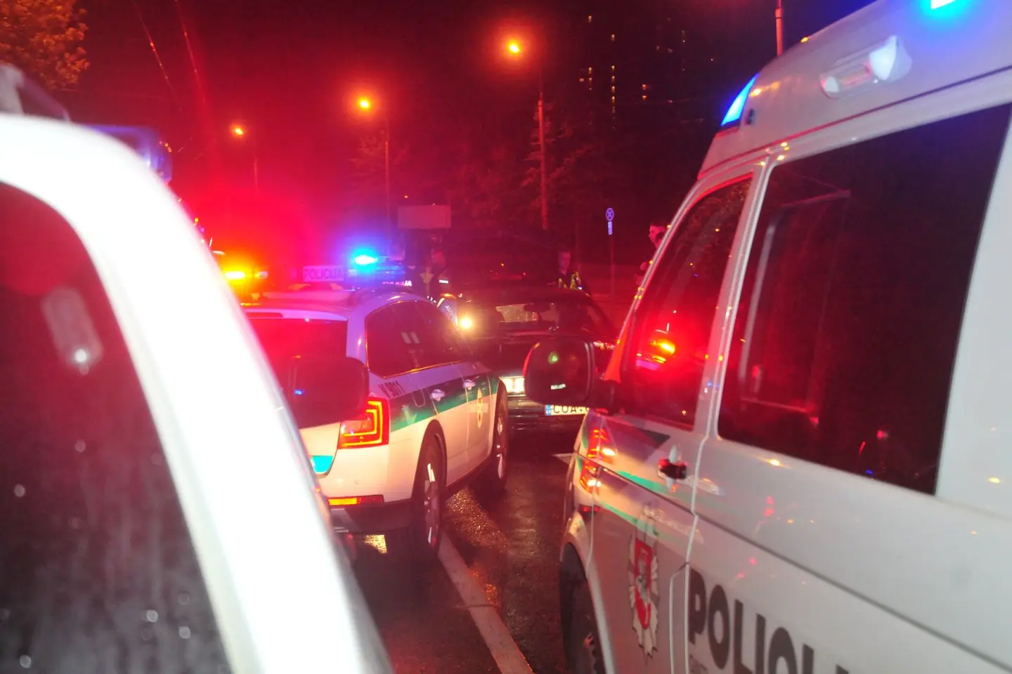 Policija, sulaikymas, neblaivus vairuotojas