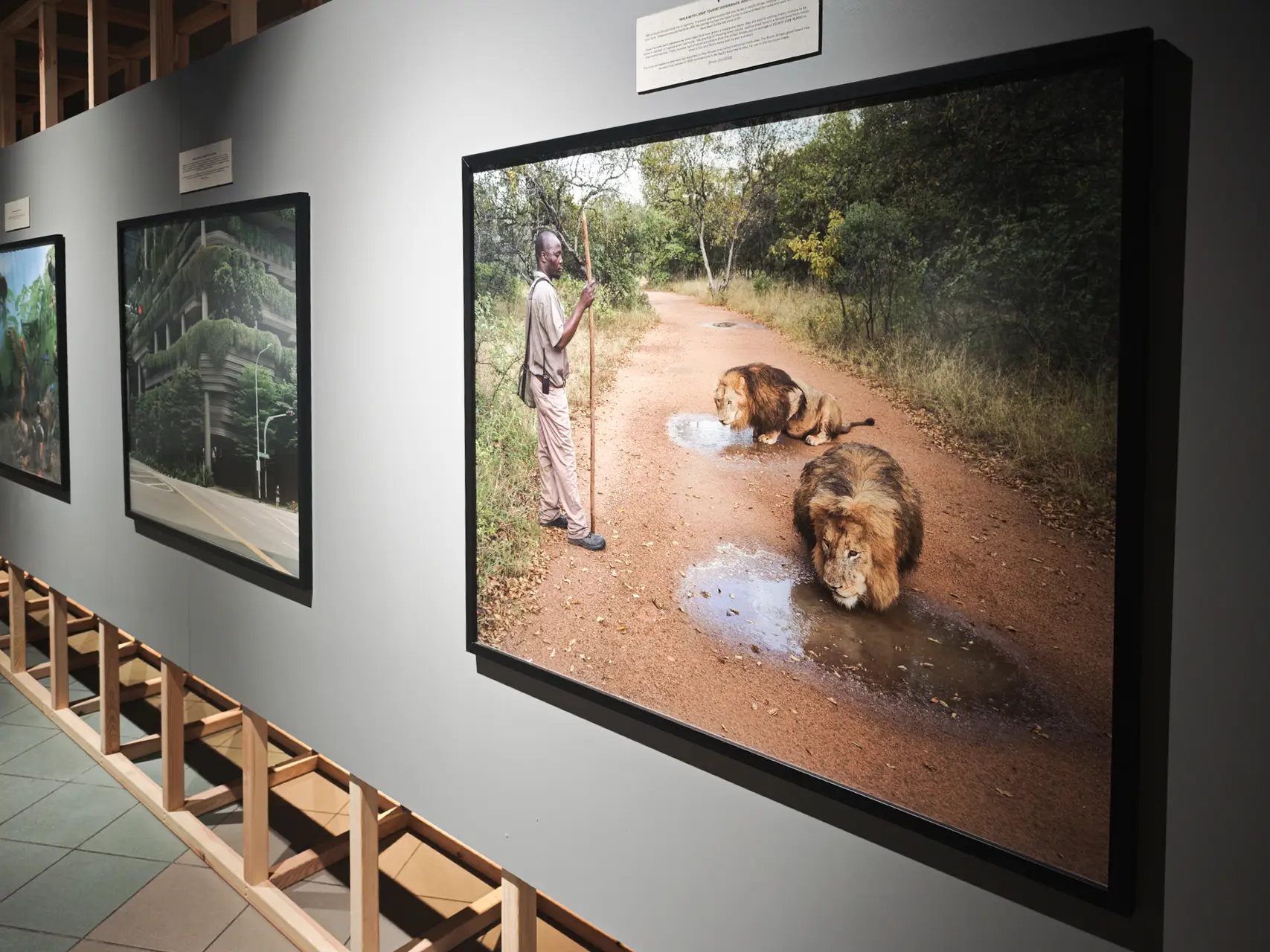 Tarptautinis fotografijos ir medijų meno festivalis