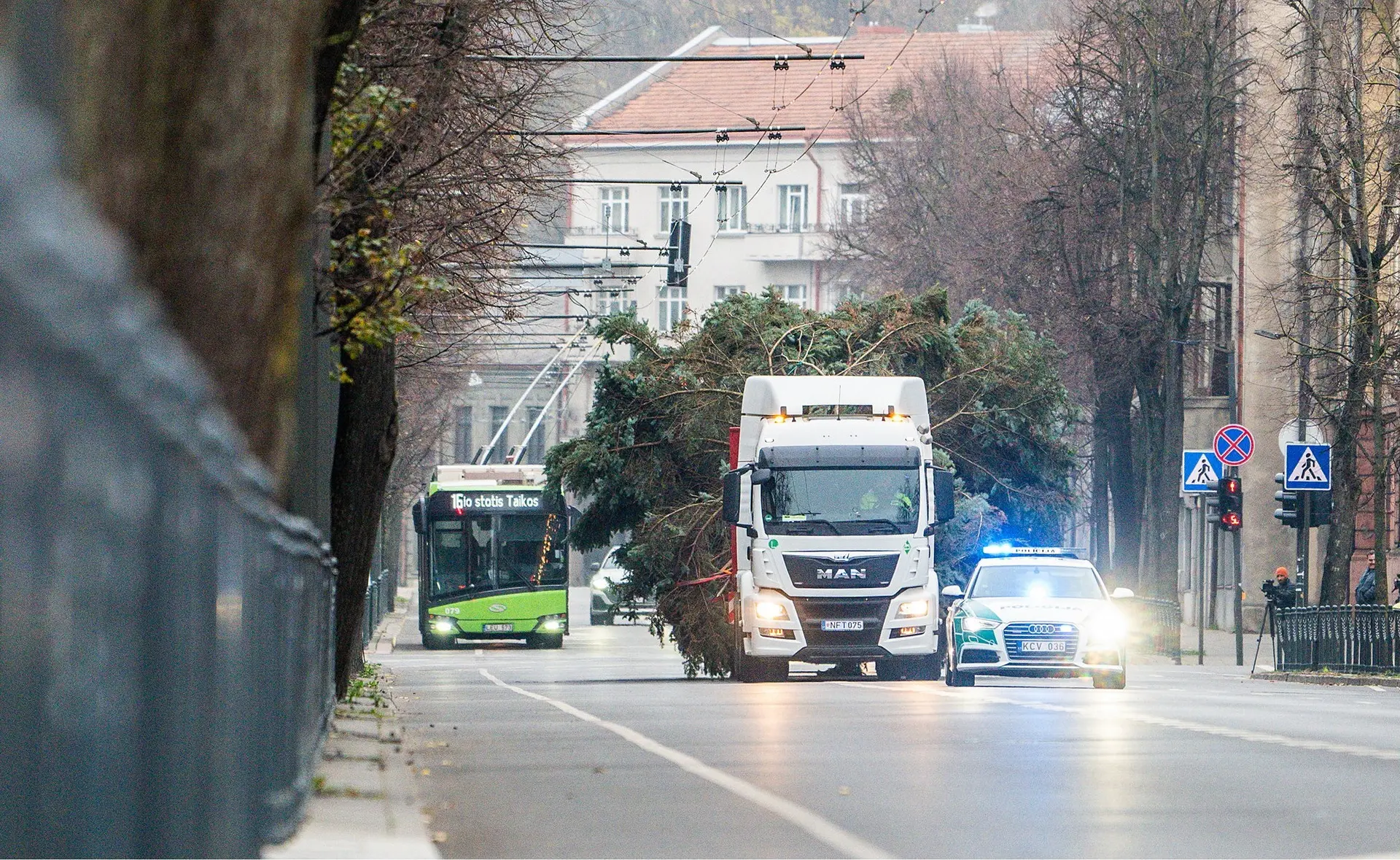 Vežama Kalėdų eglutė