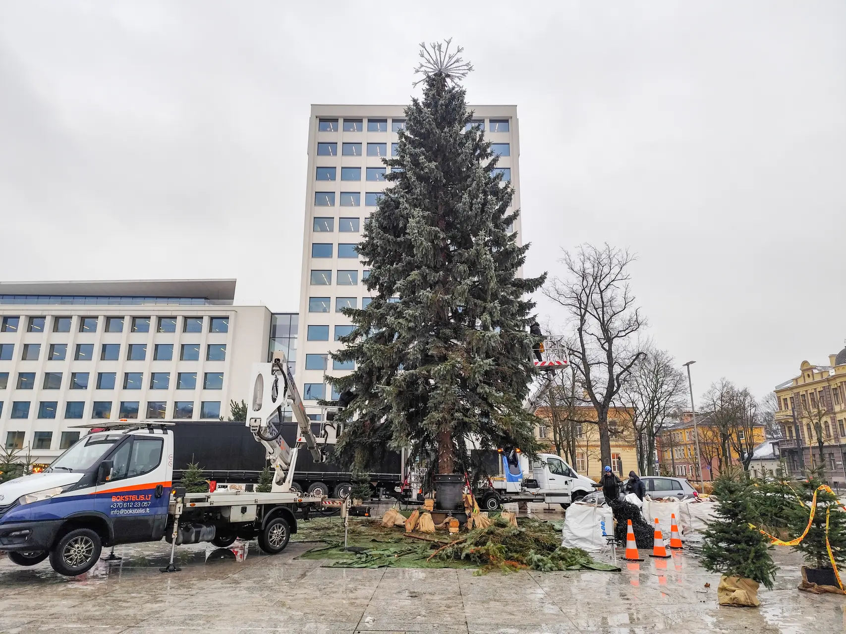 Nupuošiama Kalėdų eglė