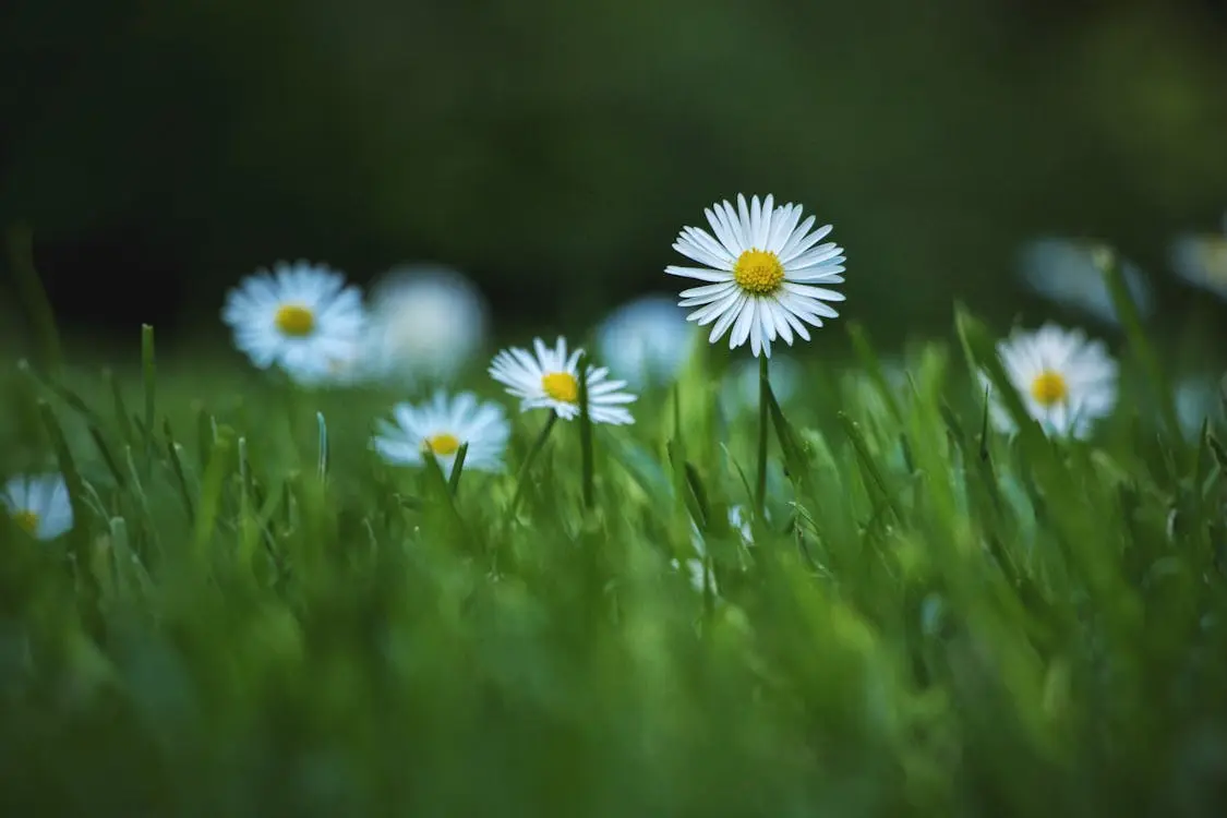 Iliustracija / pexels.com