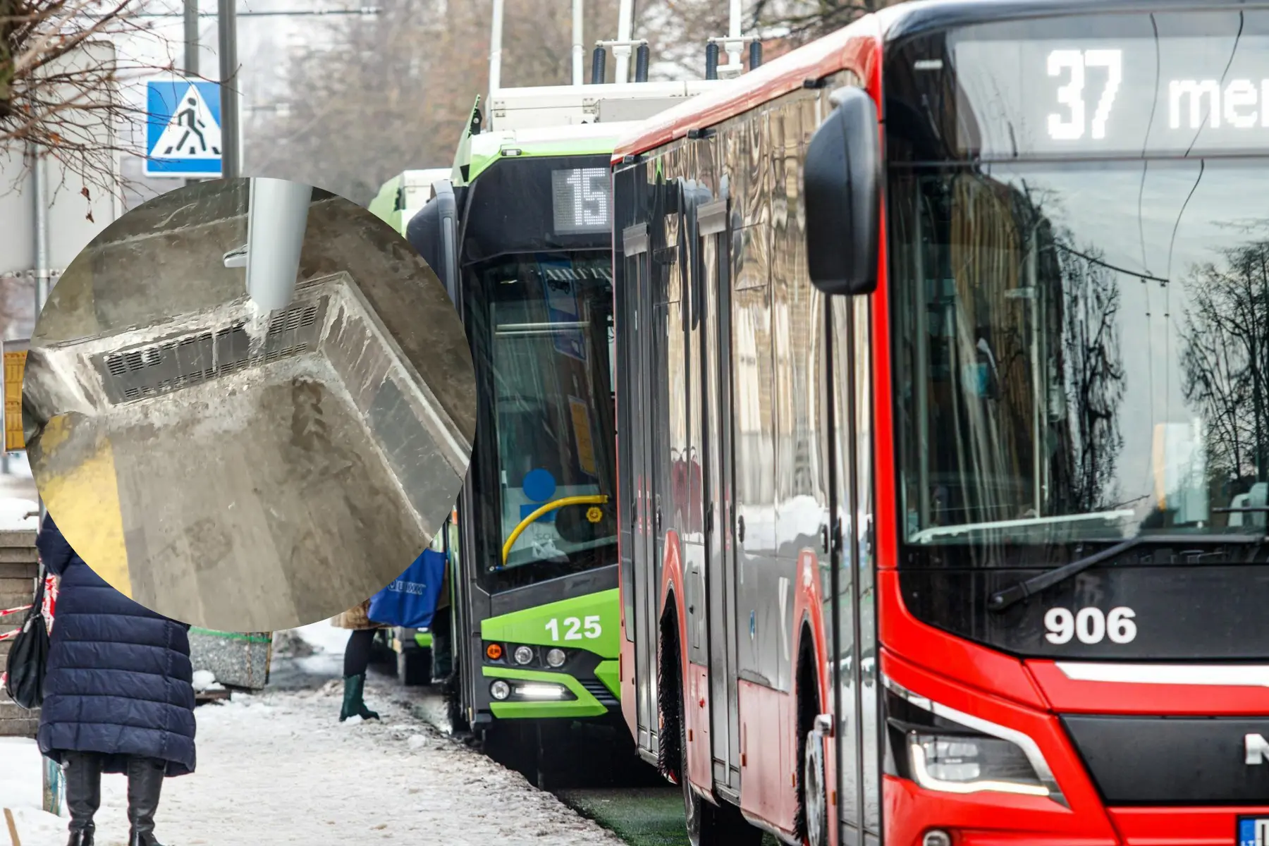 Purvas autobuse