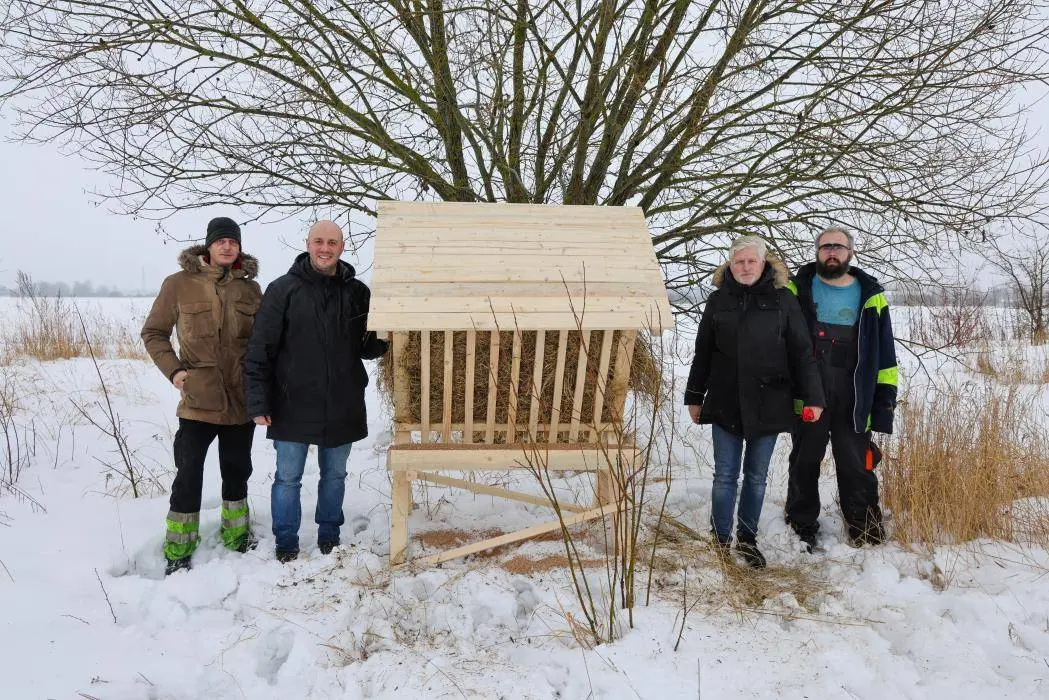 Stirnų šėrimo vietų įrengimas