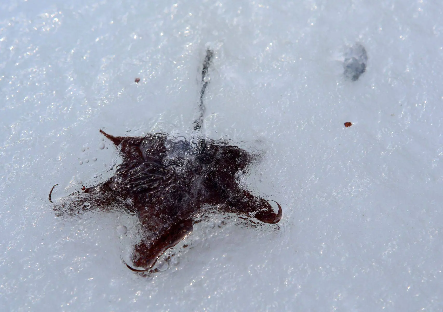 MODE4058