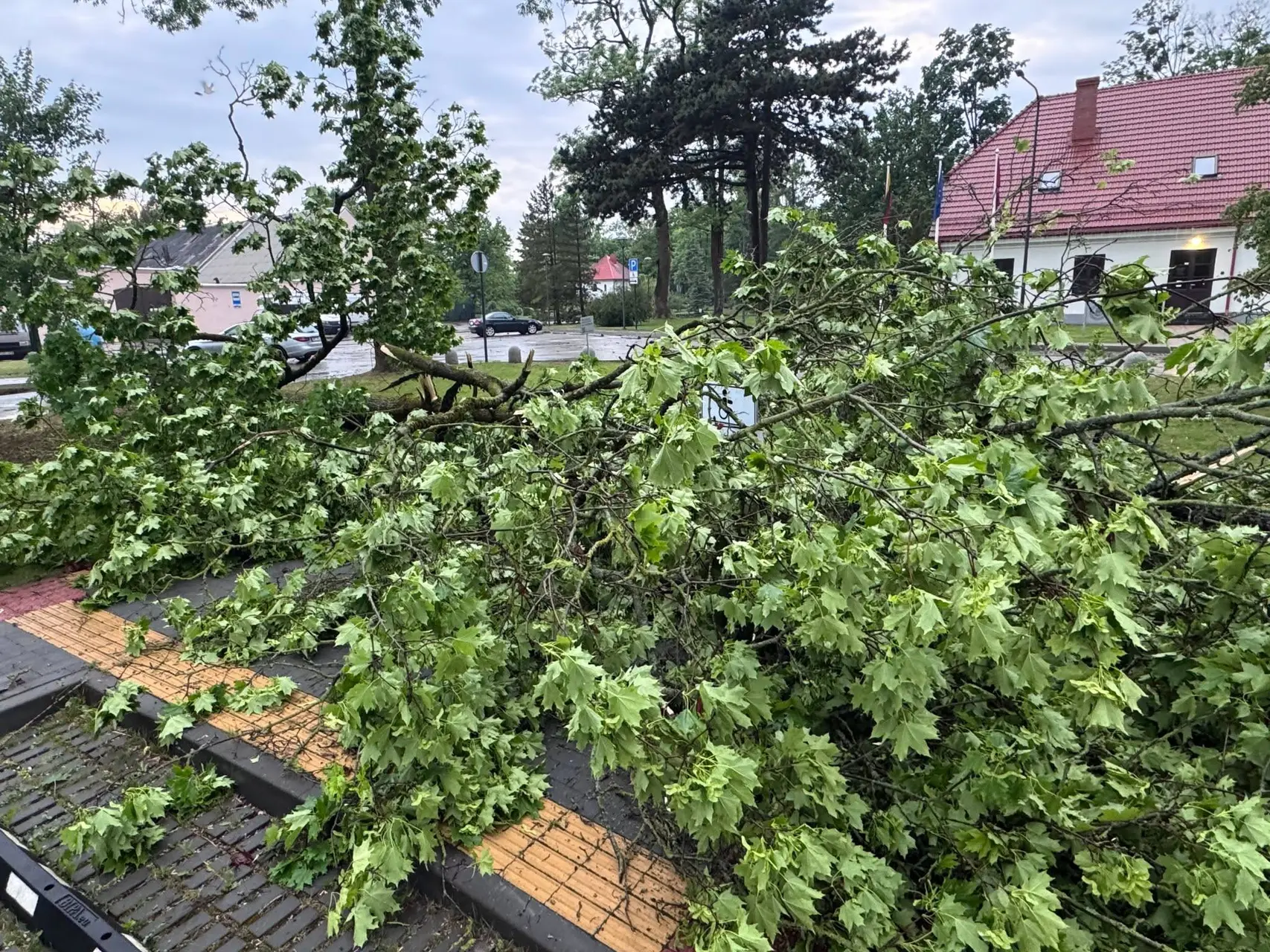 Audros padariniai Aleksote