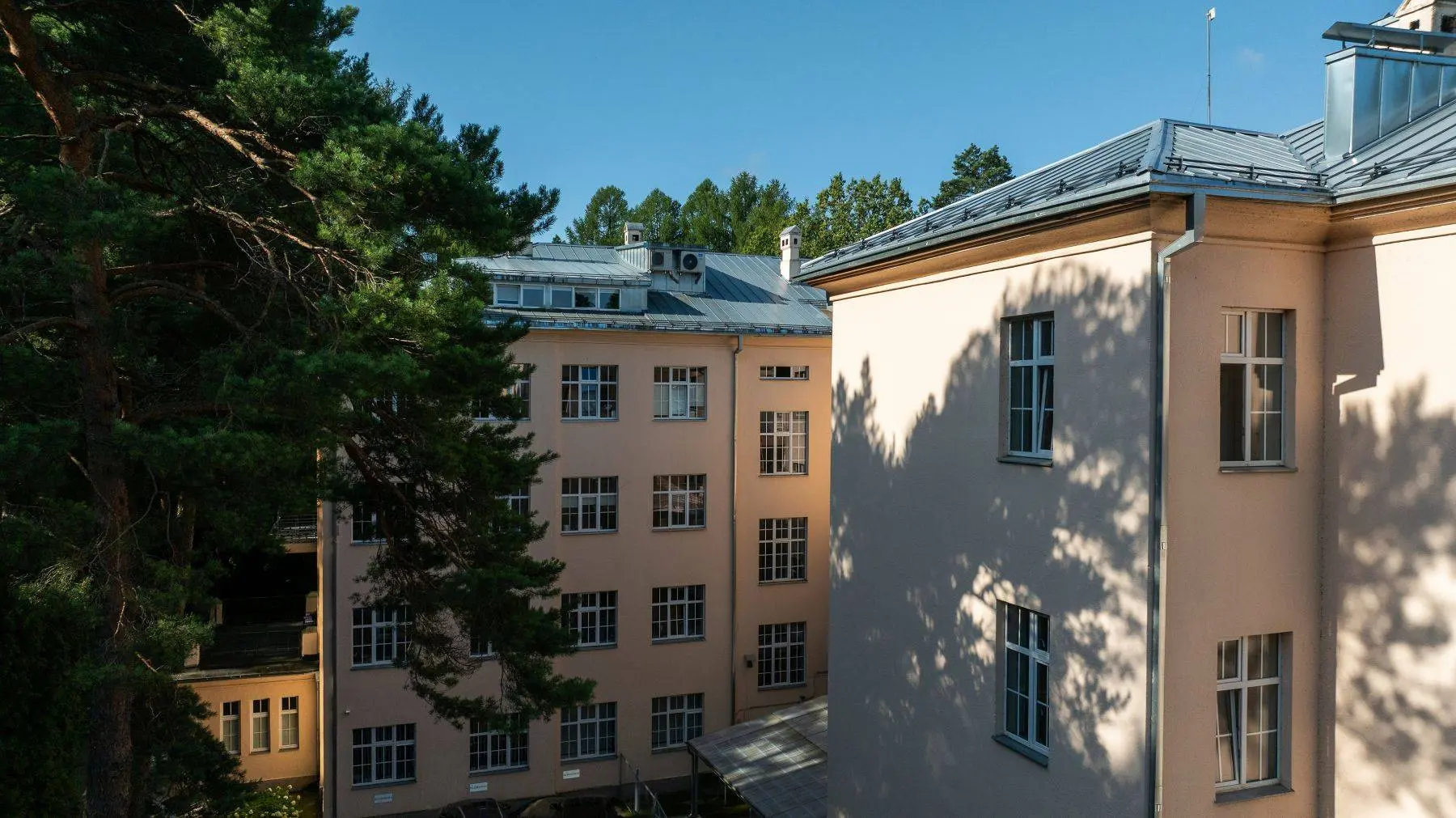K. Griniaus ligoninės Panemulės padalinys (1)