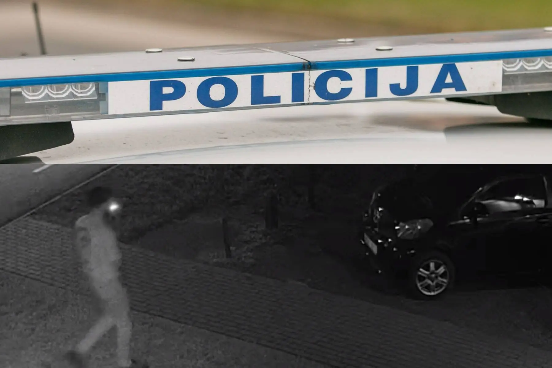 R. Tenio ir Kauno apskr. VPK nuotr.