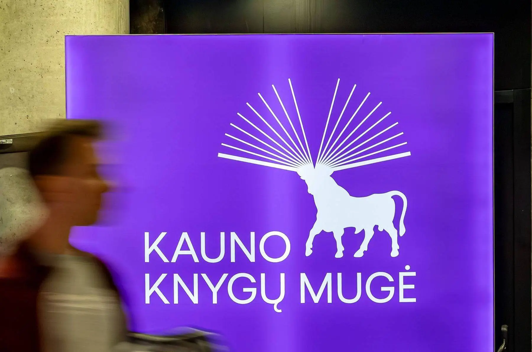 knygų muge