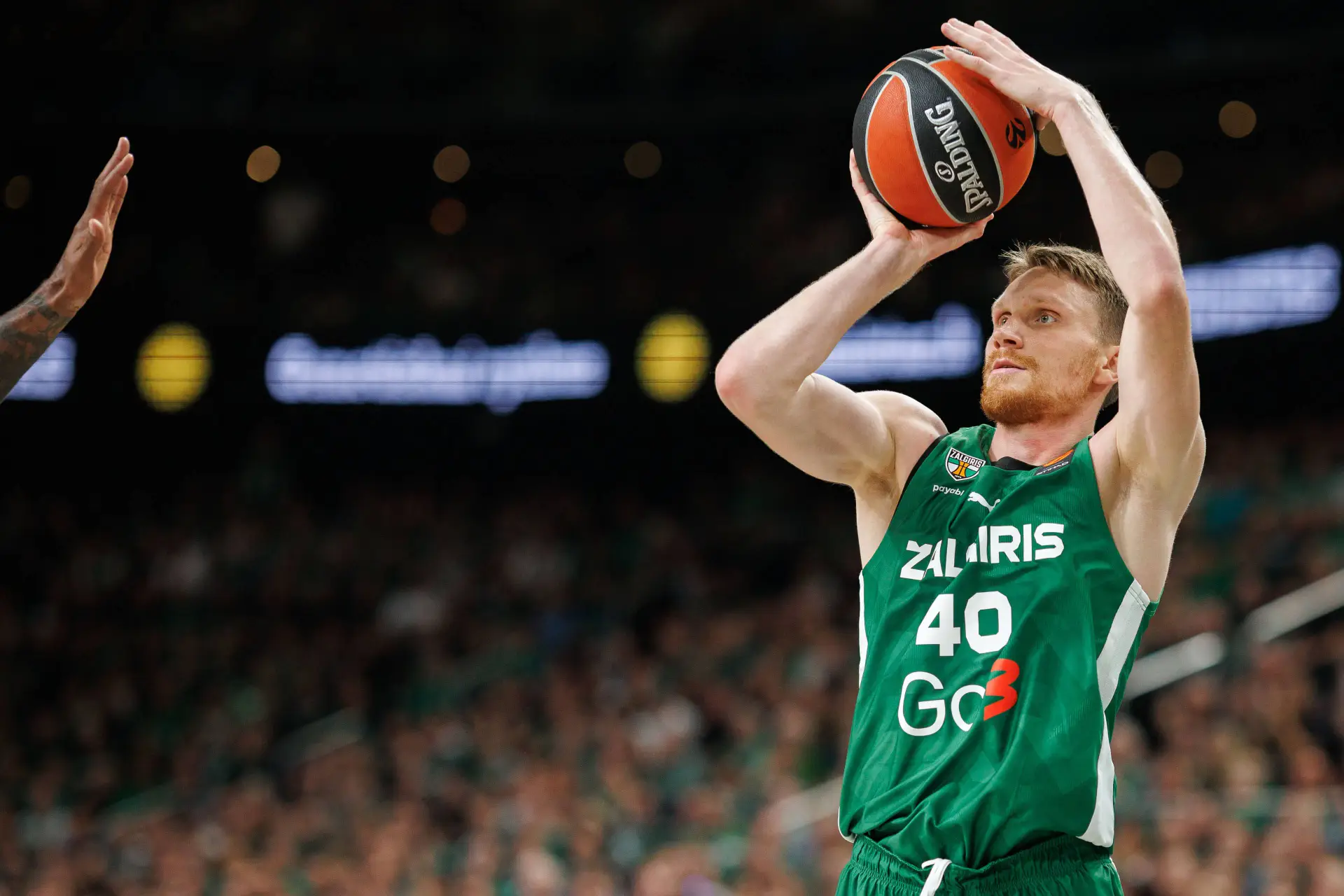 Marius Grigonis