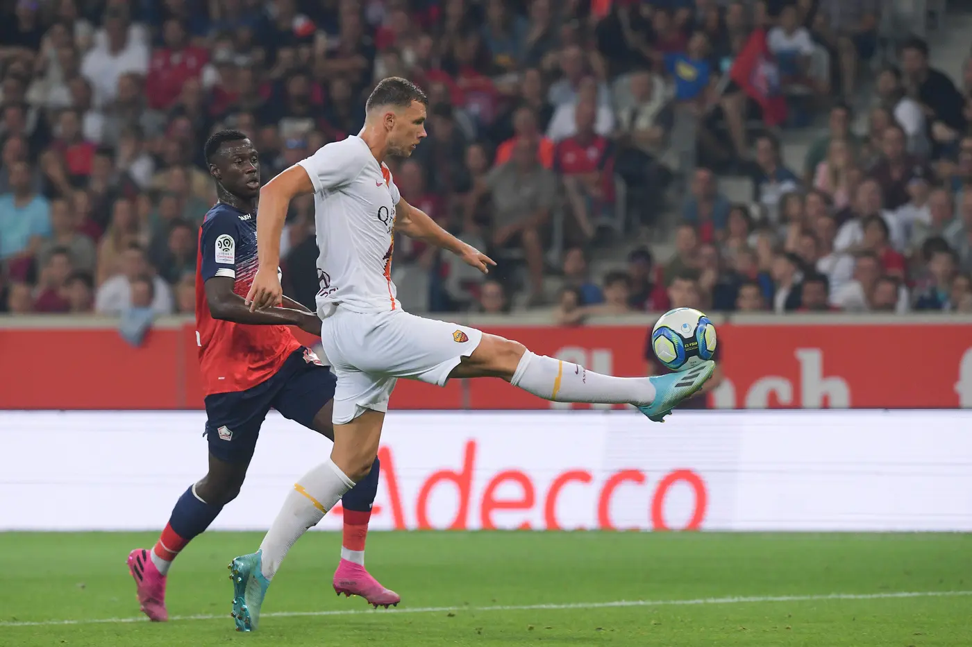 lp 10106298
