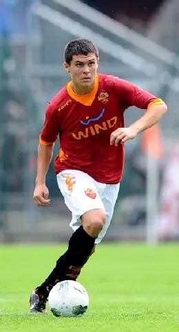203viviani 001