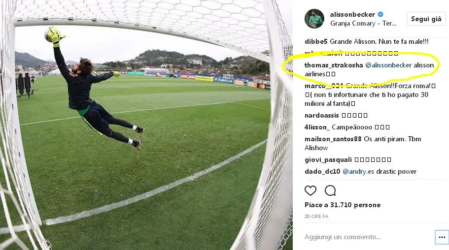 alisson strako