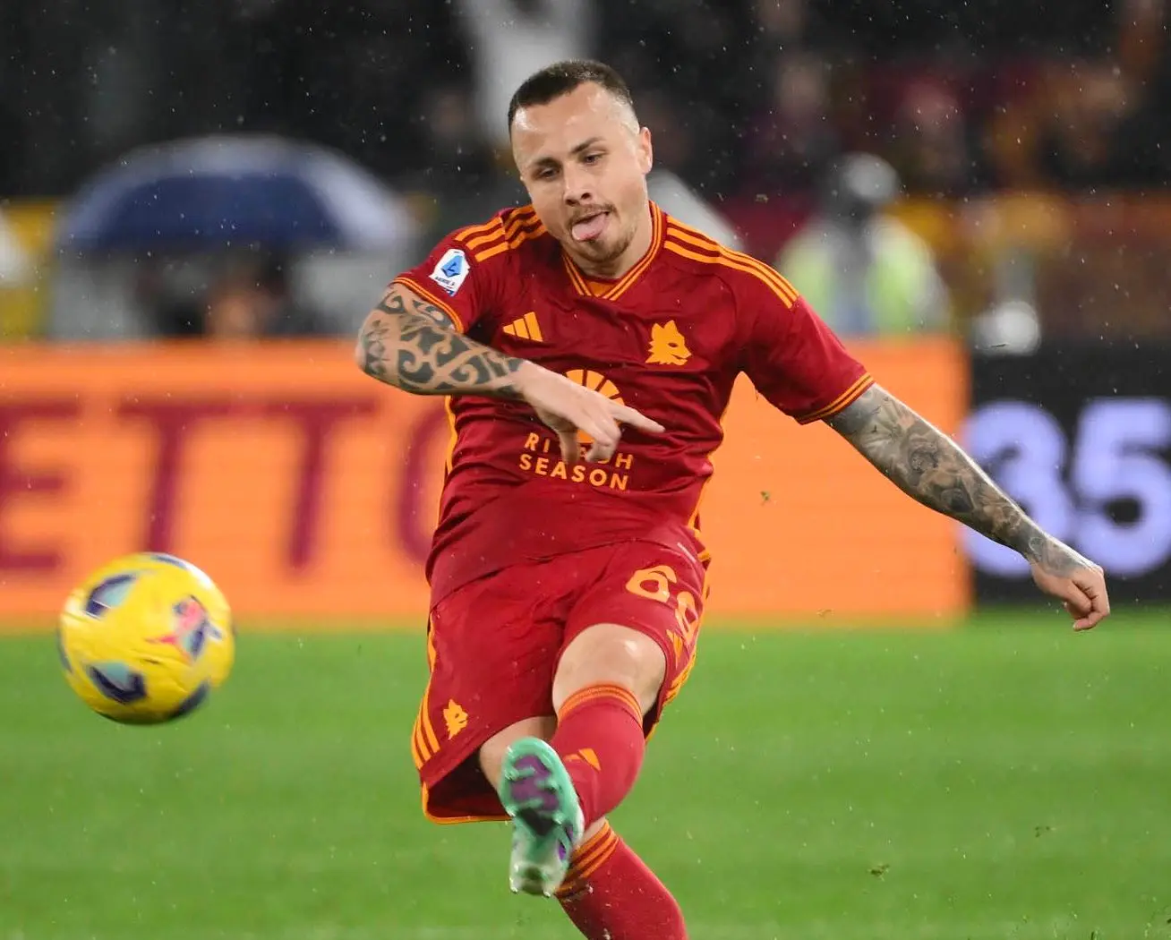 angelino 1