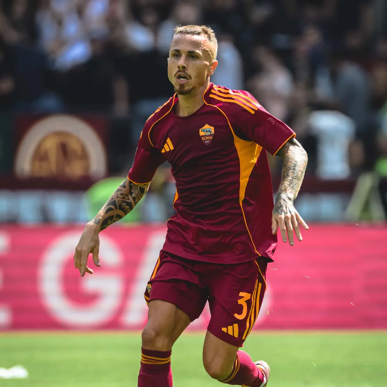angelino