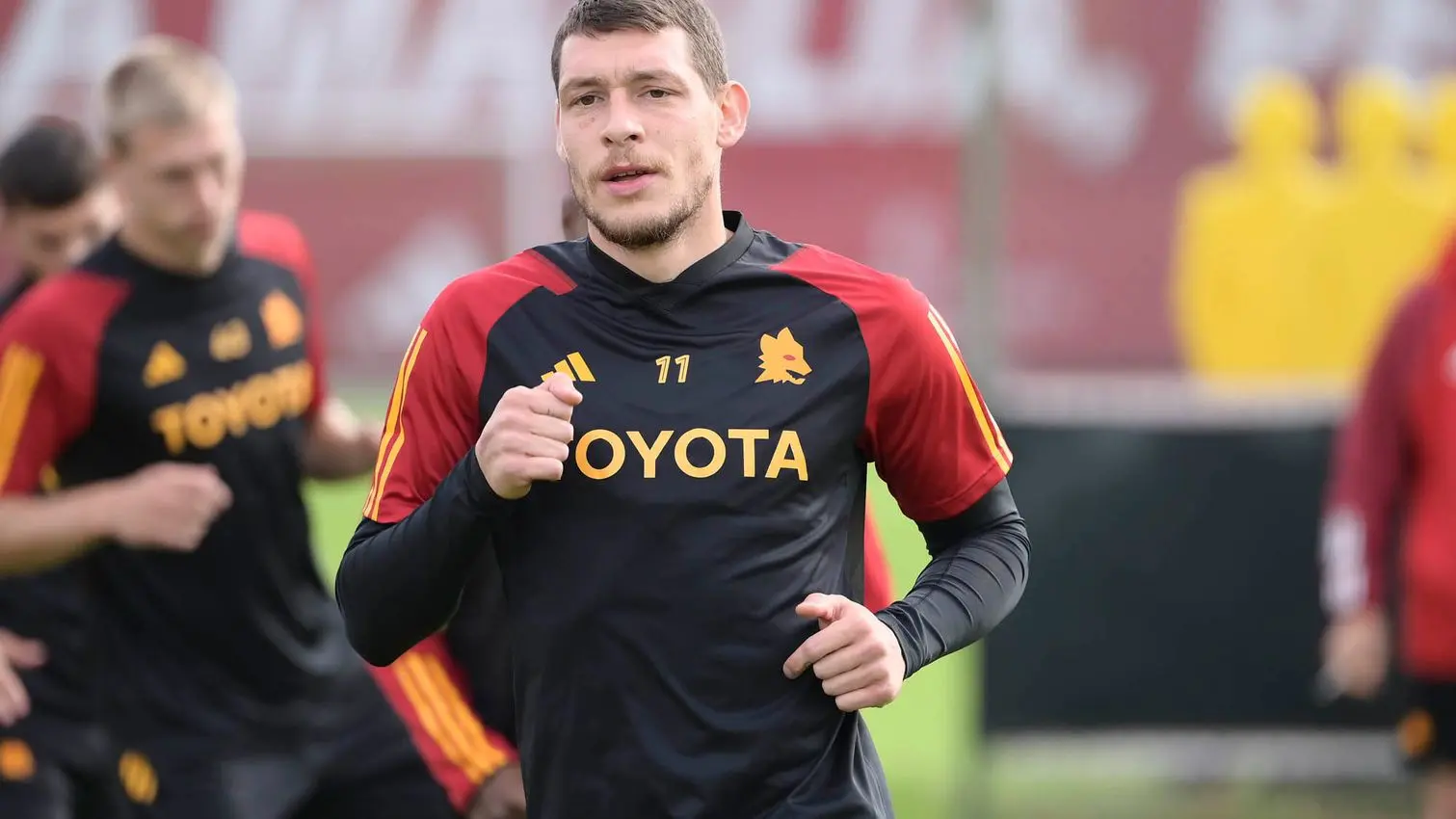 belotti