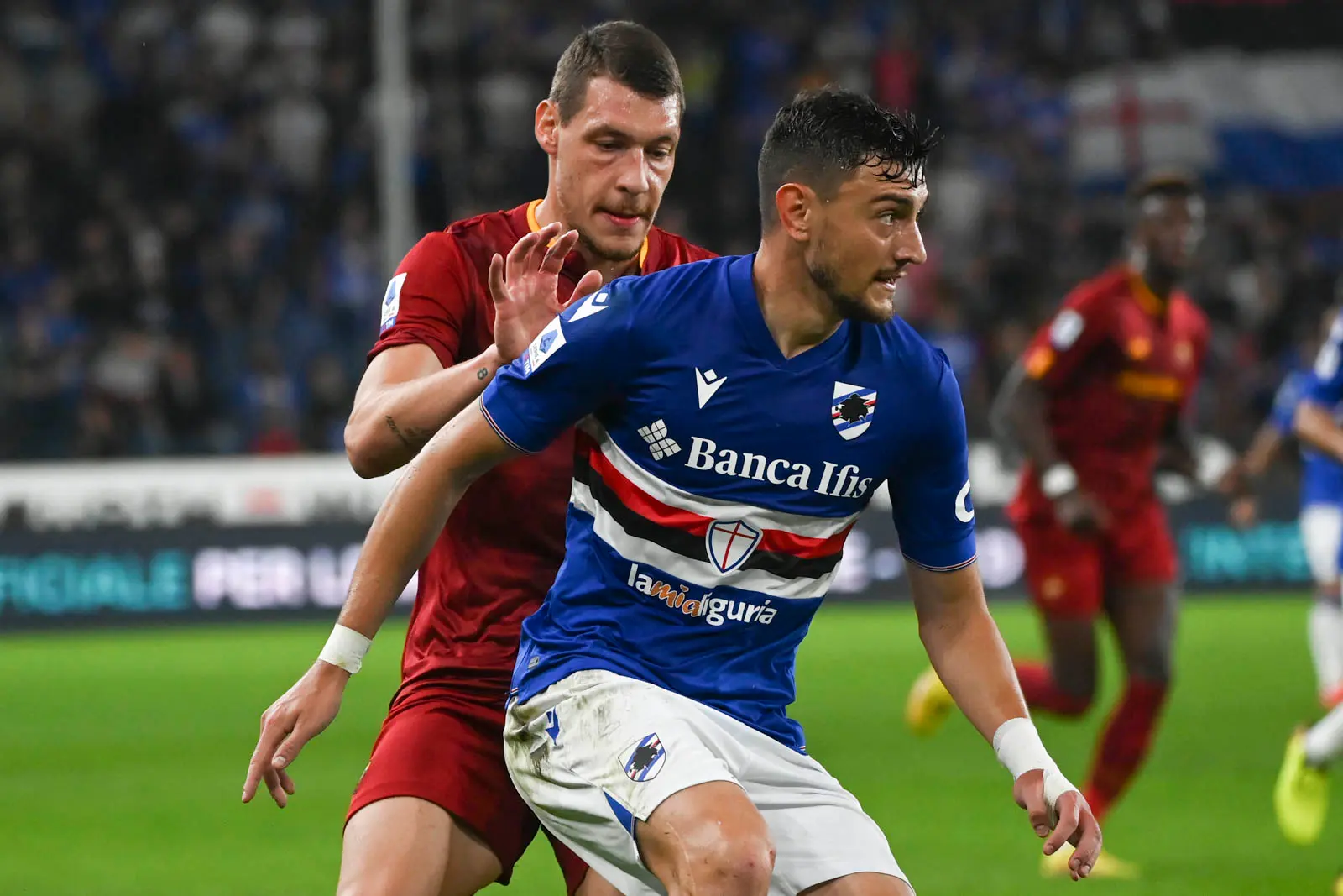 belotti samp roma