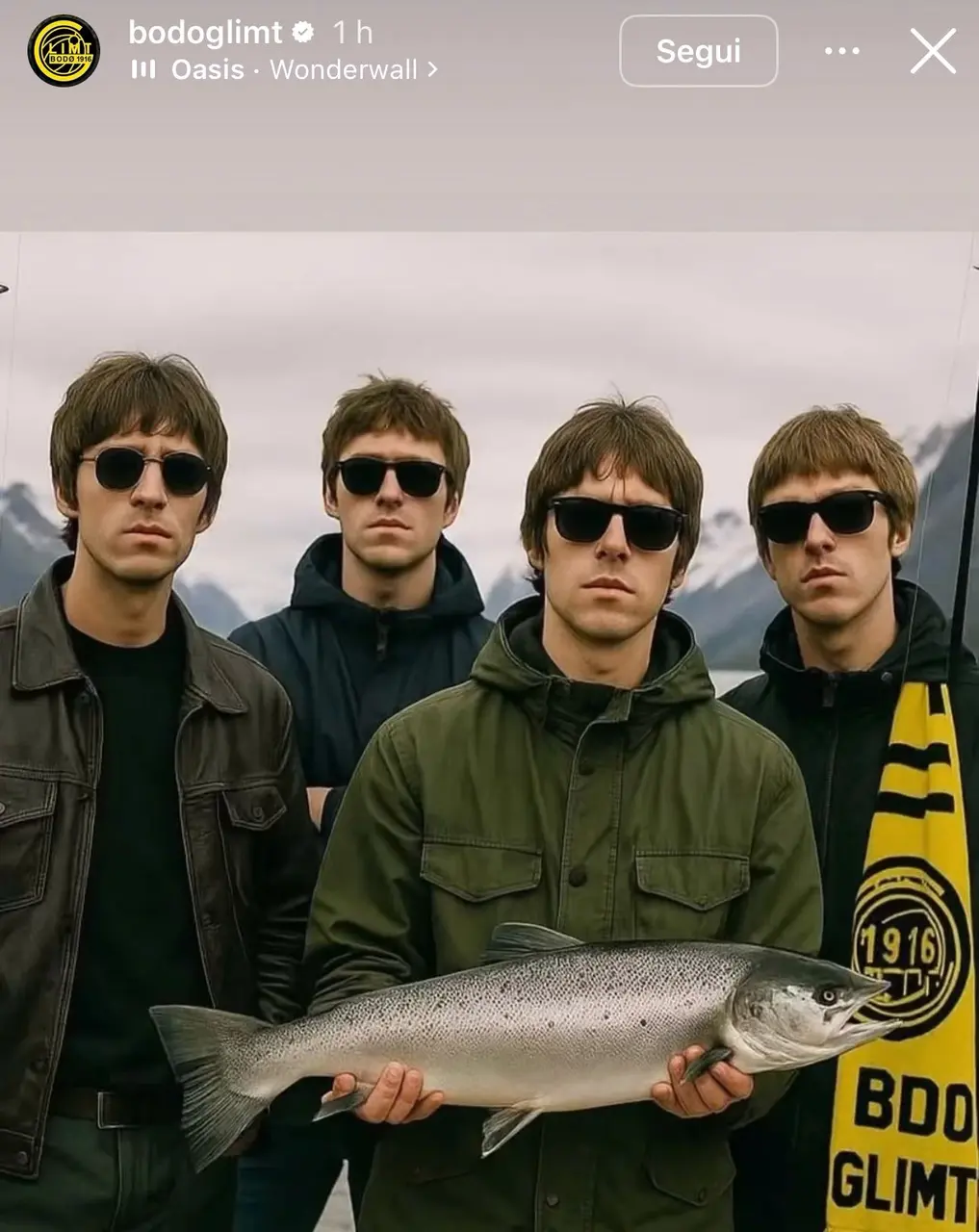 bodo glimt oasis salmone