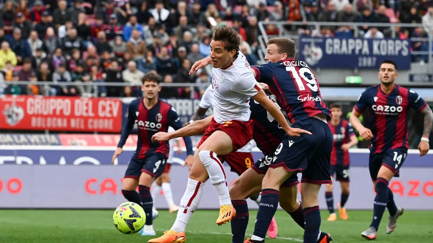 bologna roma bove 1
