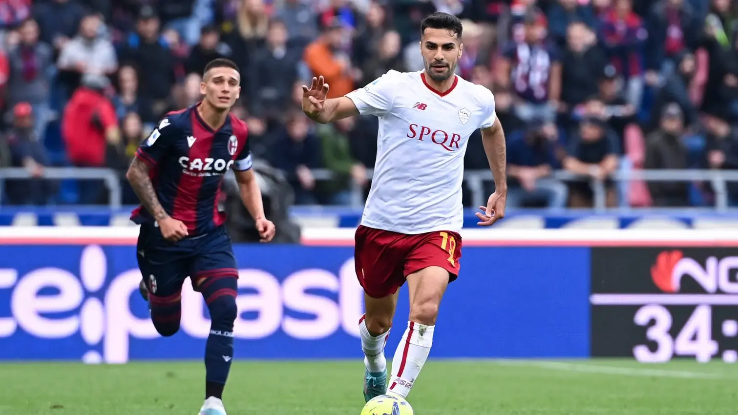 bologna roma celik