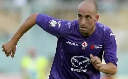 borja valero fiorentina